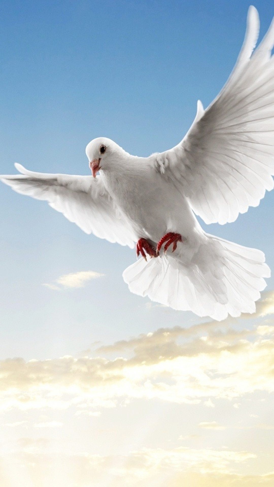 Dove, Peace Sign Wallpaper, 1080x1920 Full HD Phone