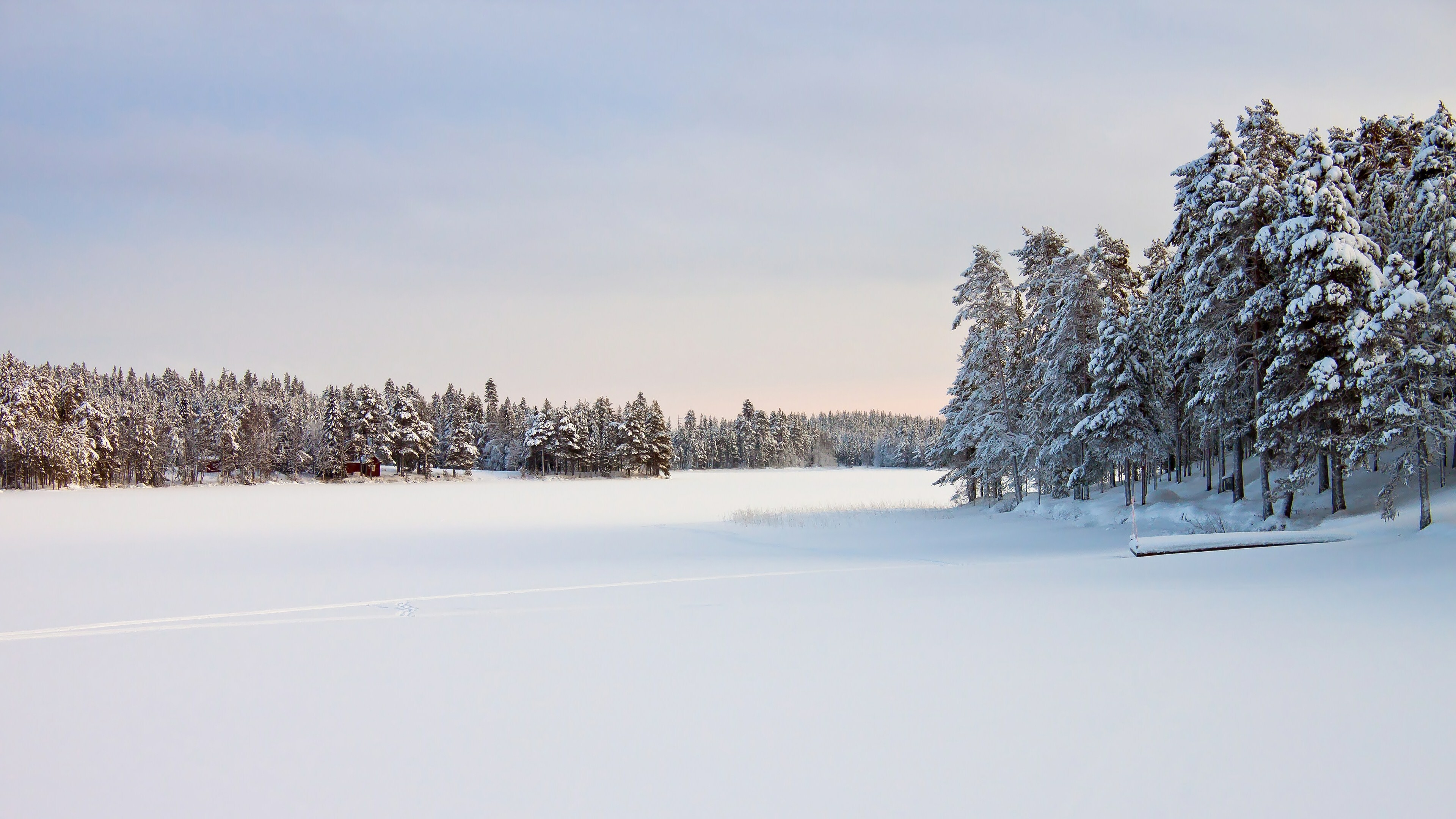 Winter wonderland, 4K beauty, Tranquil snowy scenes, Pristine nature, 3840x2160 4K Desktop