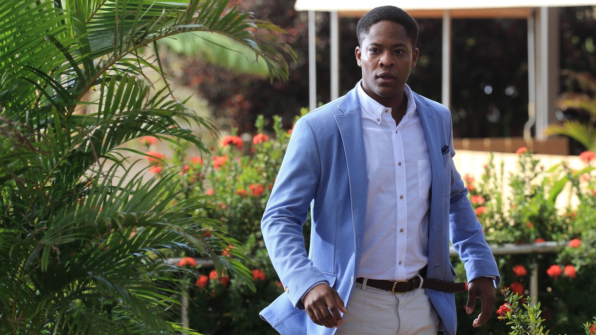 Death in Paradise, Tropical island setting, Mystery and suspense, Engaging plot, 1920x1080 Full HD Desktop