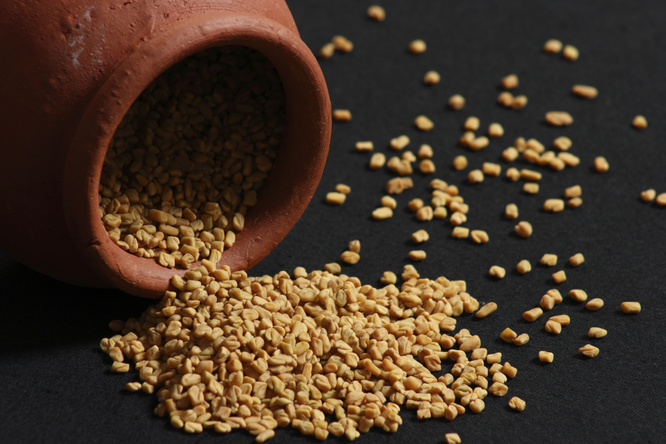 Fenugreek seeds, Harmful effects, 2130x1420 HD Desktop