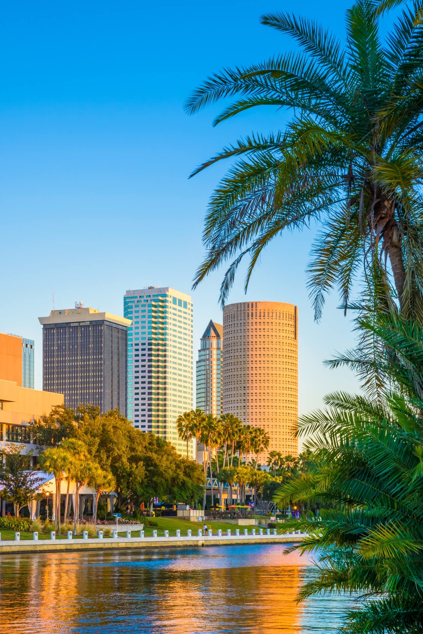 Virtual tour of Tampa, Online exploration, Florida cityscape, Travel from home, 1420x2120 HD Phone