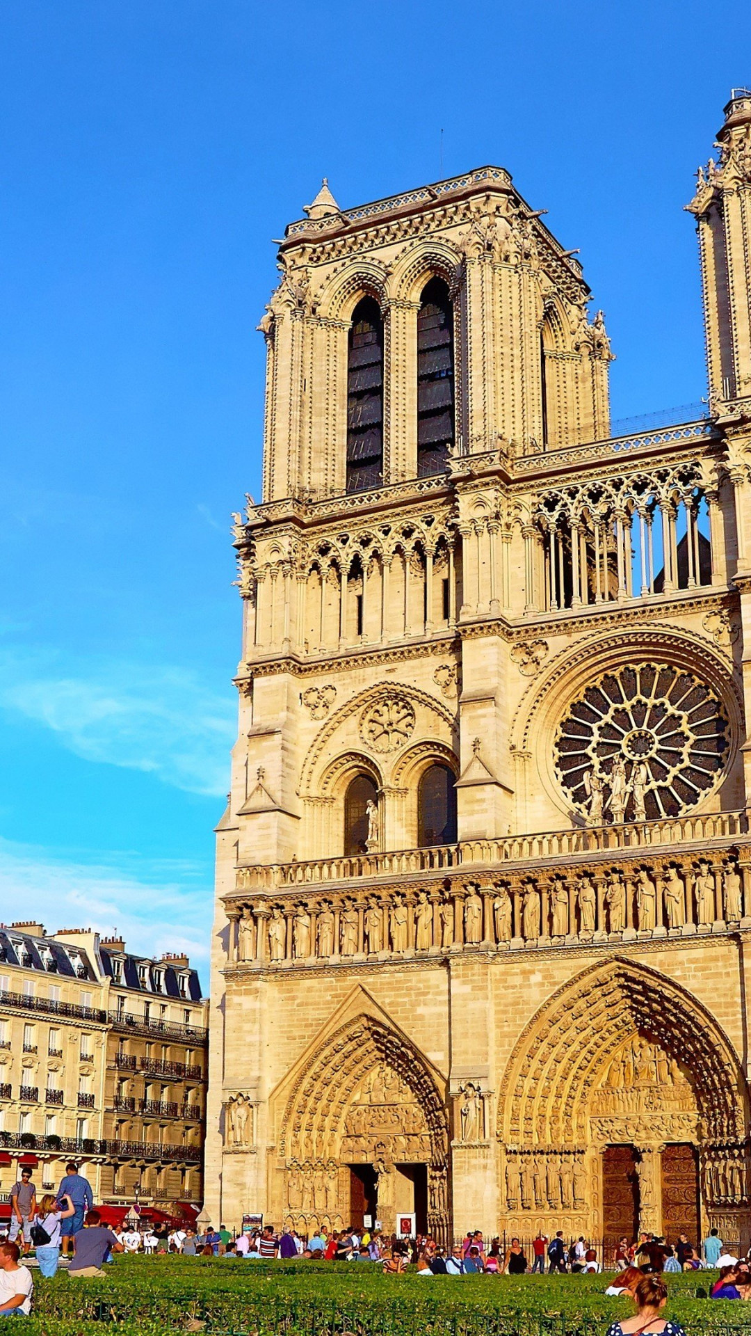 Notre-Dame Cathedral, Travels, Iconic building, Breathtaking wallpapers, 1080x1920 Full HD Phone