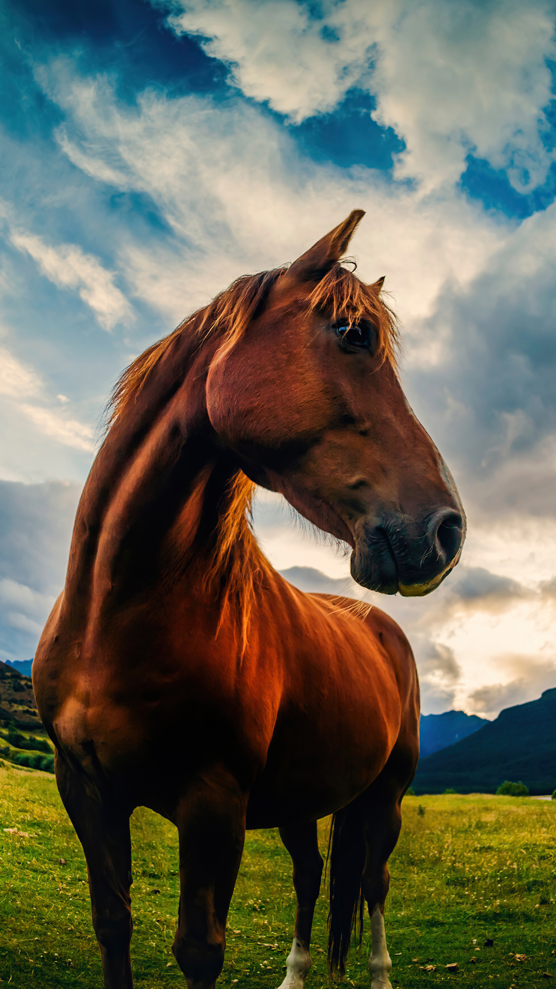 Yearling, Horses Wallpaper, 2160x3840 4K Phone