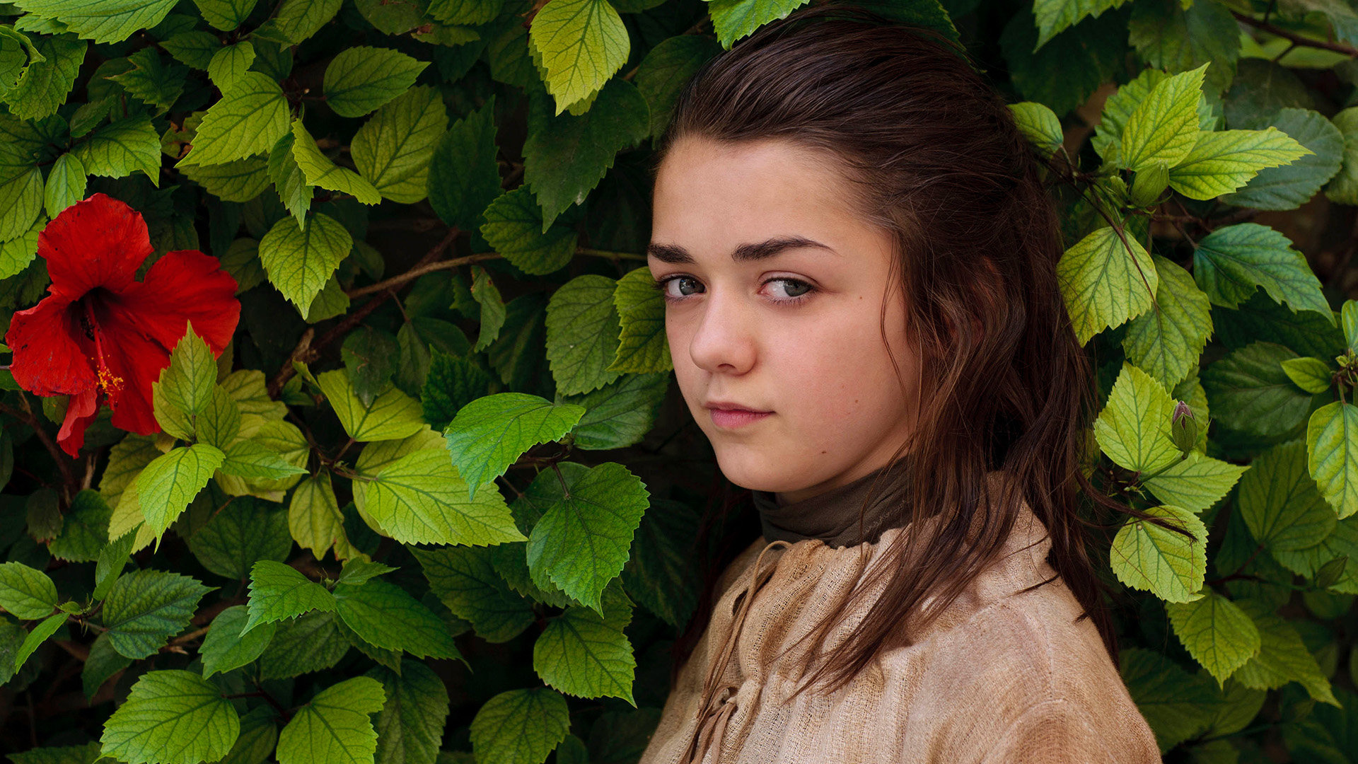 Arya Stark, Full HD, Desktop wallpaper, Free download, 1920x1080 Full HD Desktop