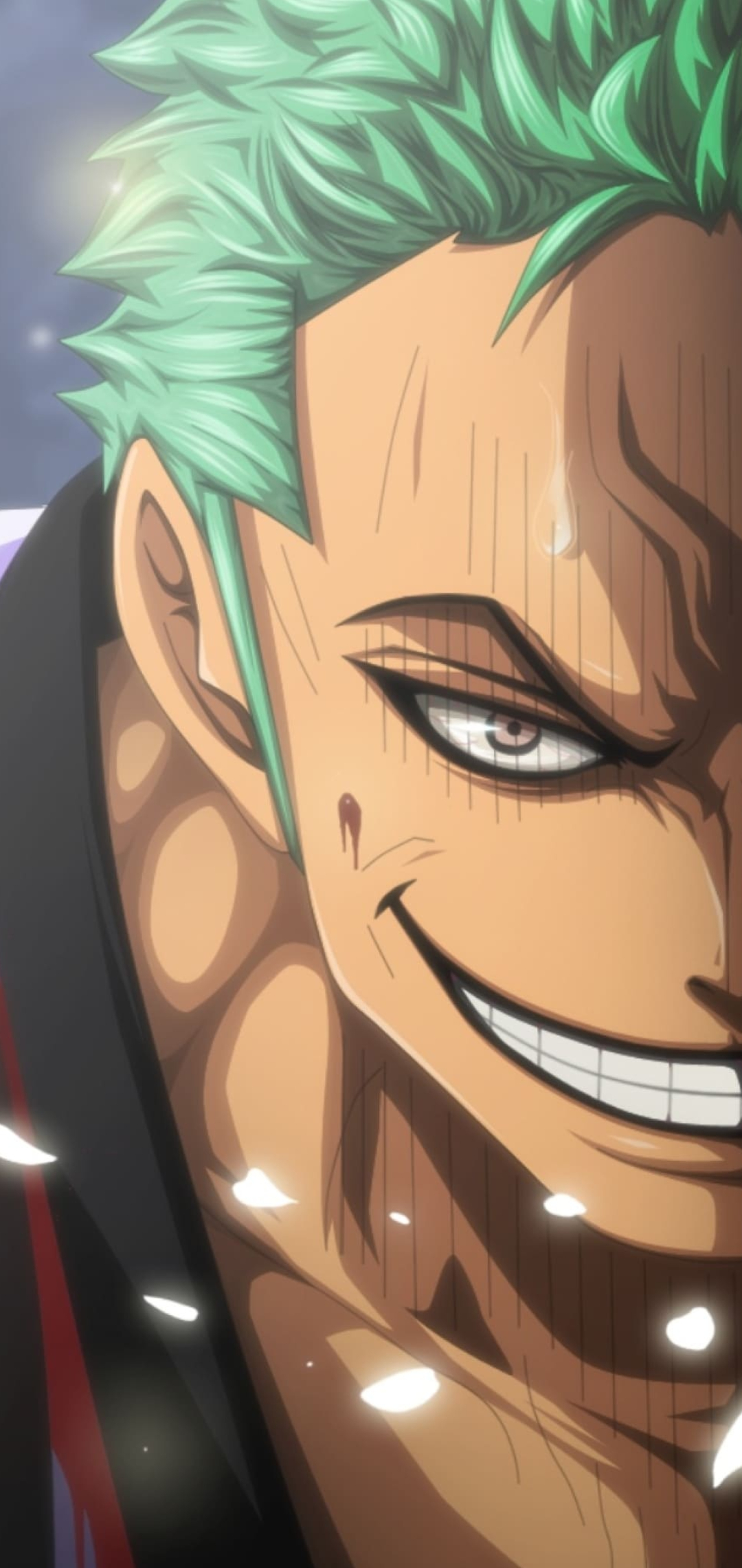 Roronoa Zoro, One Piece, smirking facial expression, HD Phone wallpaper