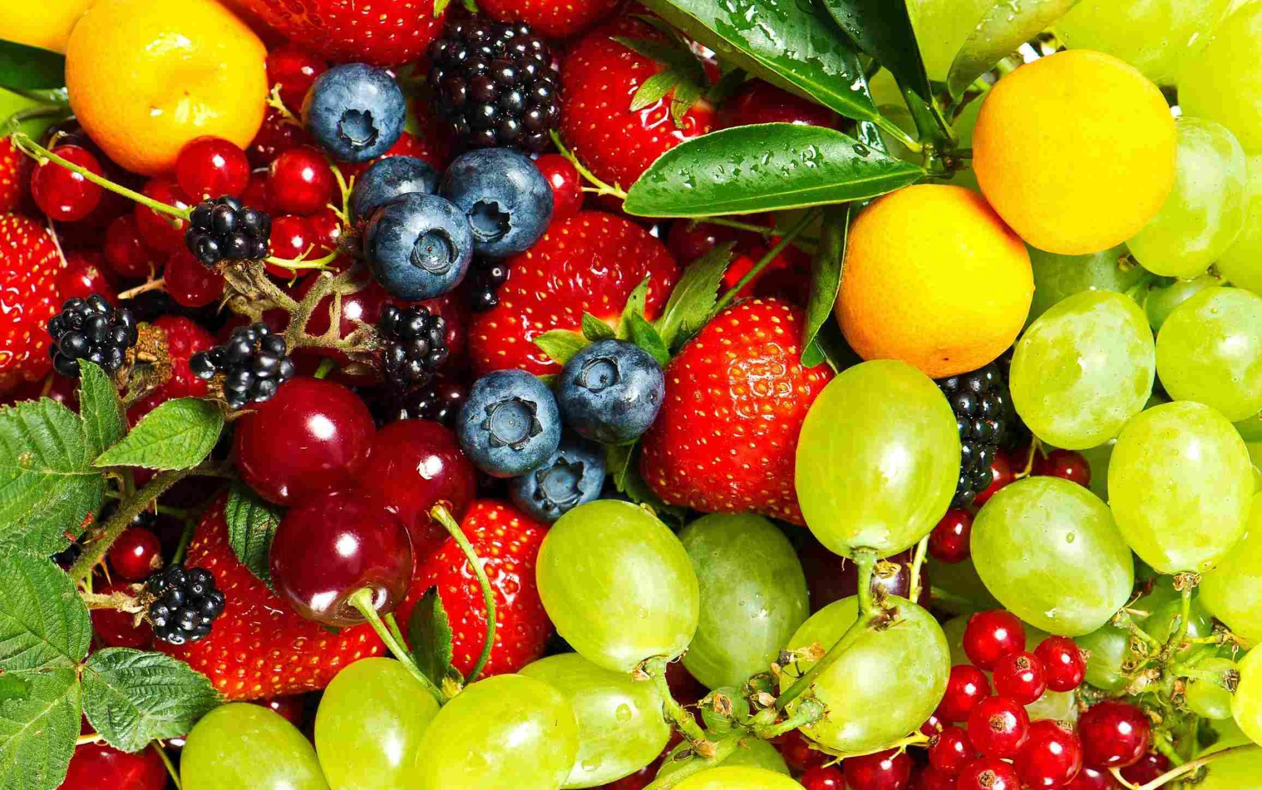 Fruitful desktop backgrounds, Nature's beauty, Vibrant and refreshing, Captivating imagery, 2570x1610 HD Desktop