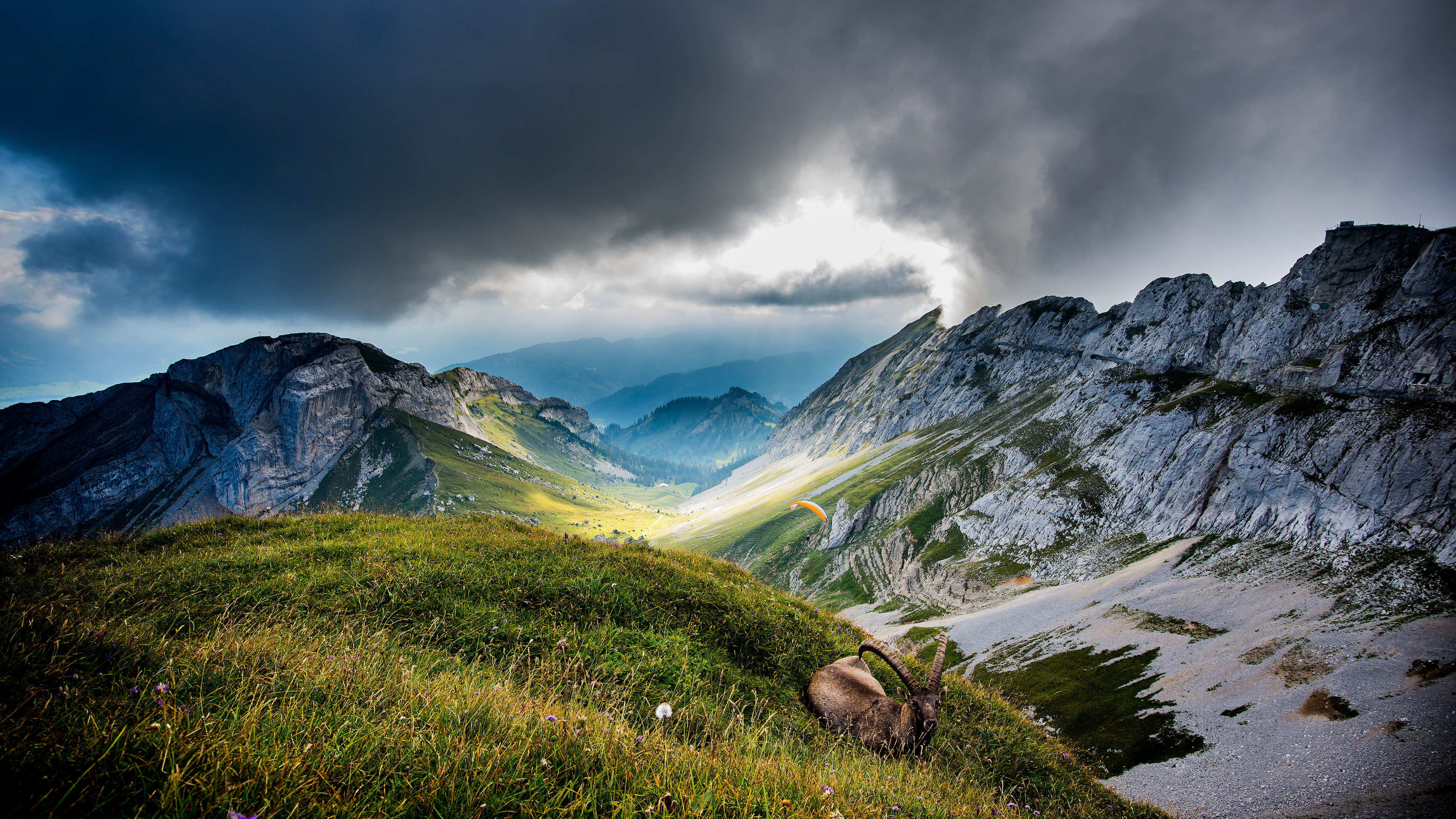 Mount Pilatus, Goats Wallpaper, 3840x2160 4K Desktop