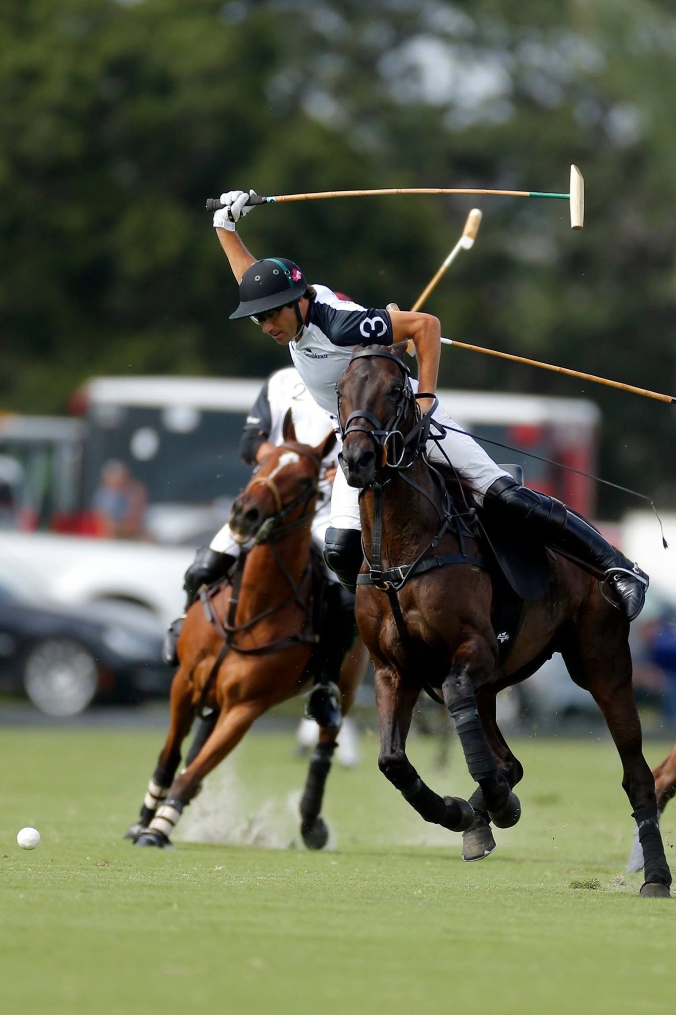 Polo & Hasses, Polo horse inspiration, Sport of kings, 1370x2050 HD Phone