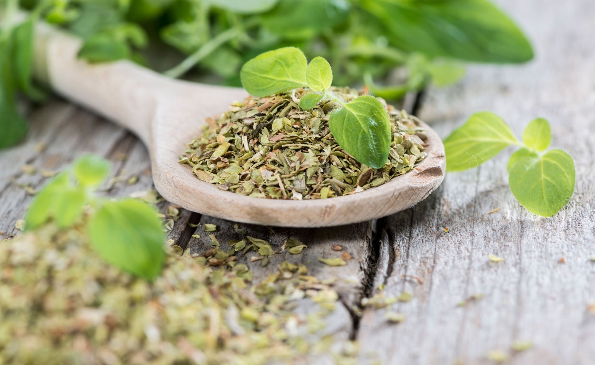 Drying oregano, Simple process, Beautiful garden, My beautiful garden, 2000x1230 HD Desktop