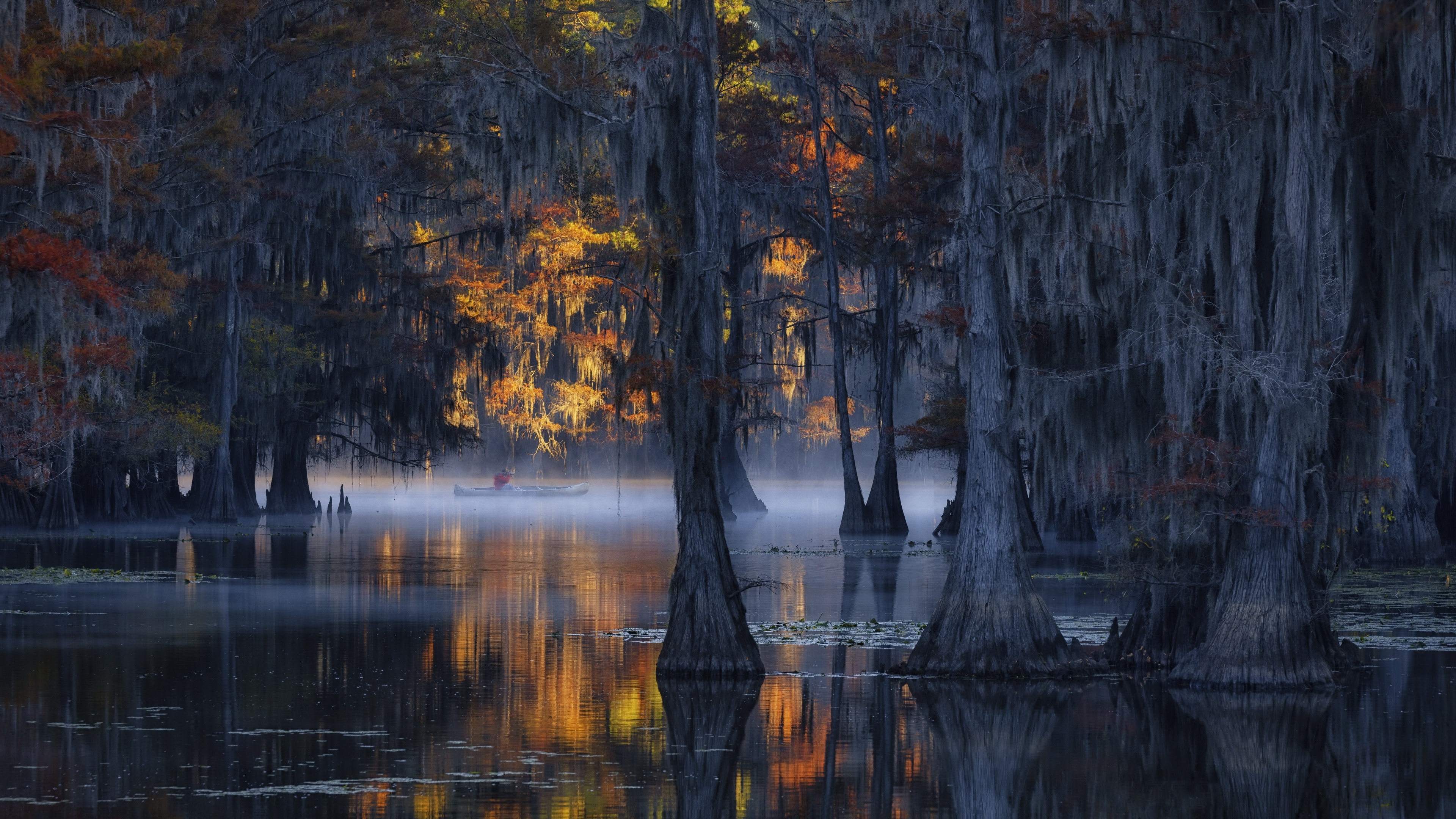 Cypress Tree, Water trees, River fall, Reflection wallpaper, 3840x2160 4K Desktop