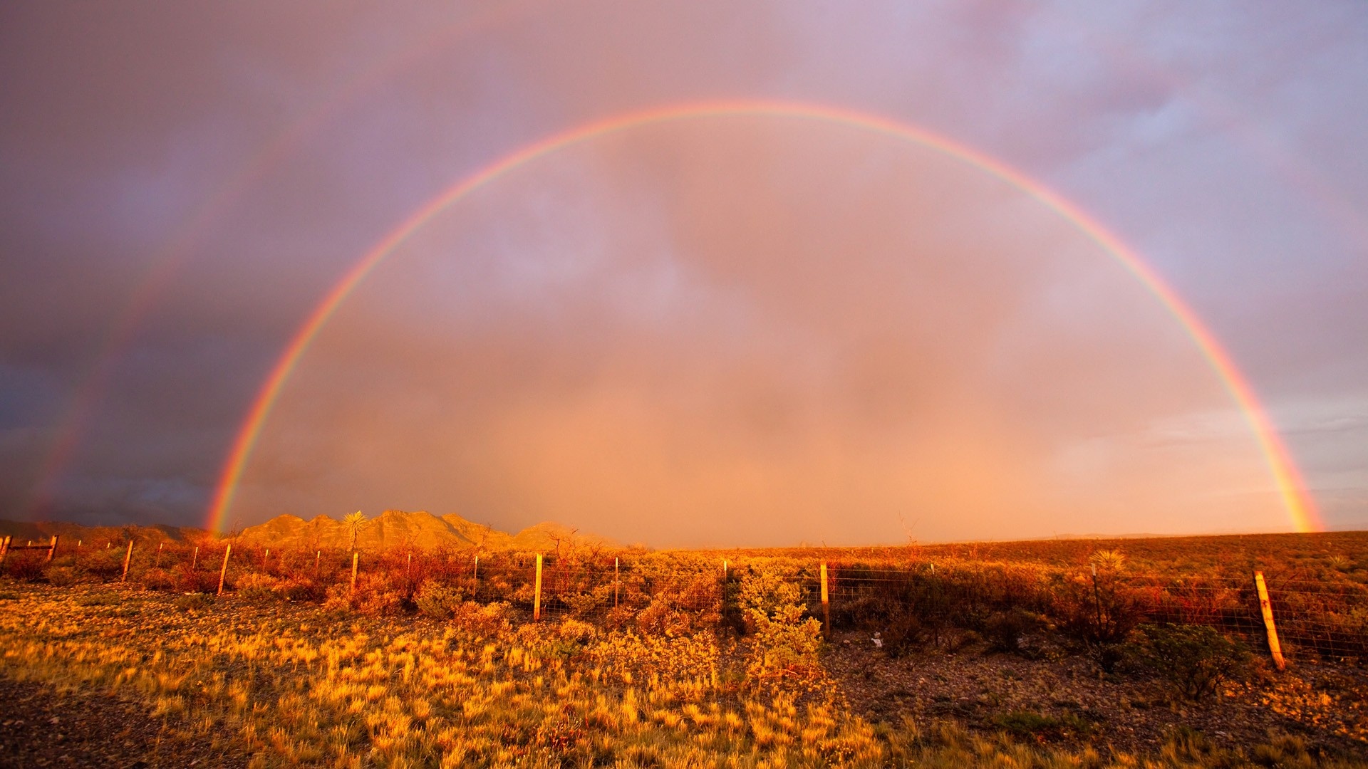 Full double rainbow, Desert shrubland fence, Golden hour sunset sky, Full HD Desktop wallpaper