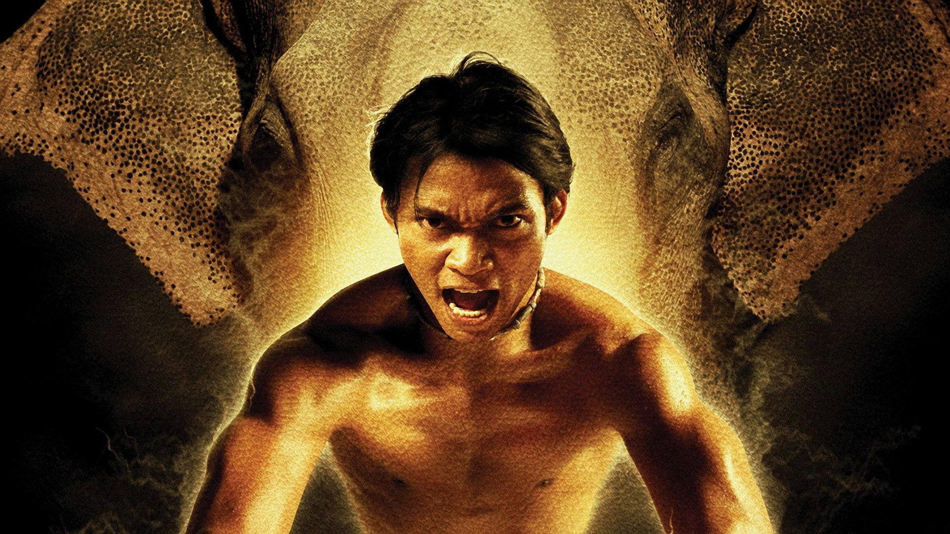 Tony Jaa wallpapers, Top backgrounds, 1920x1080 Full HD Desktop