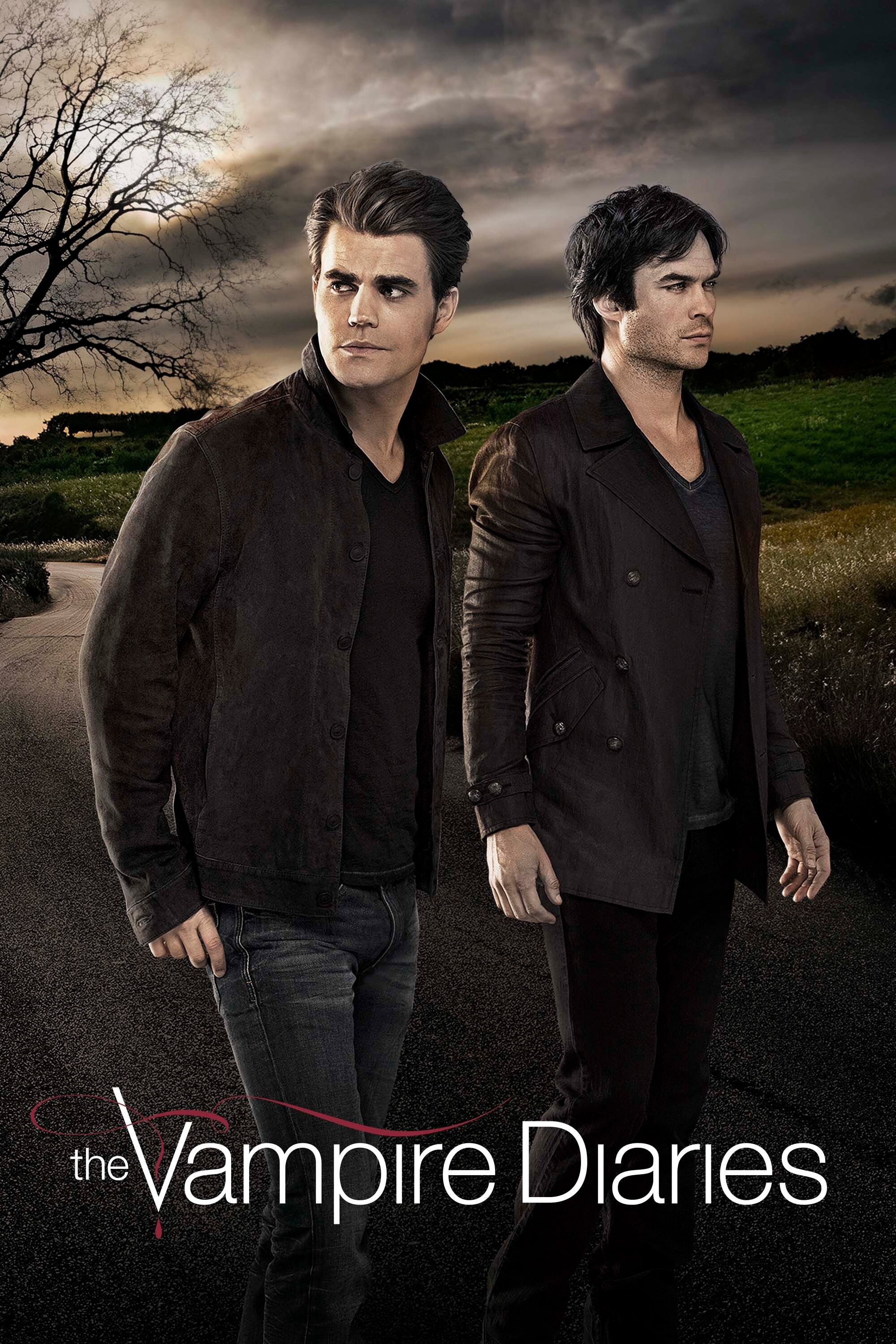 Salvatore brothers, The Vampire Diaries Wallpaper, 2000x3000 HD Phone