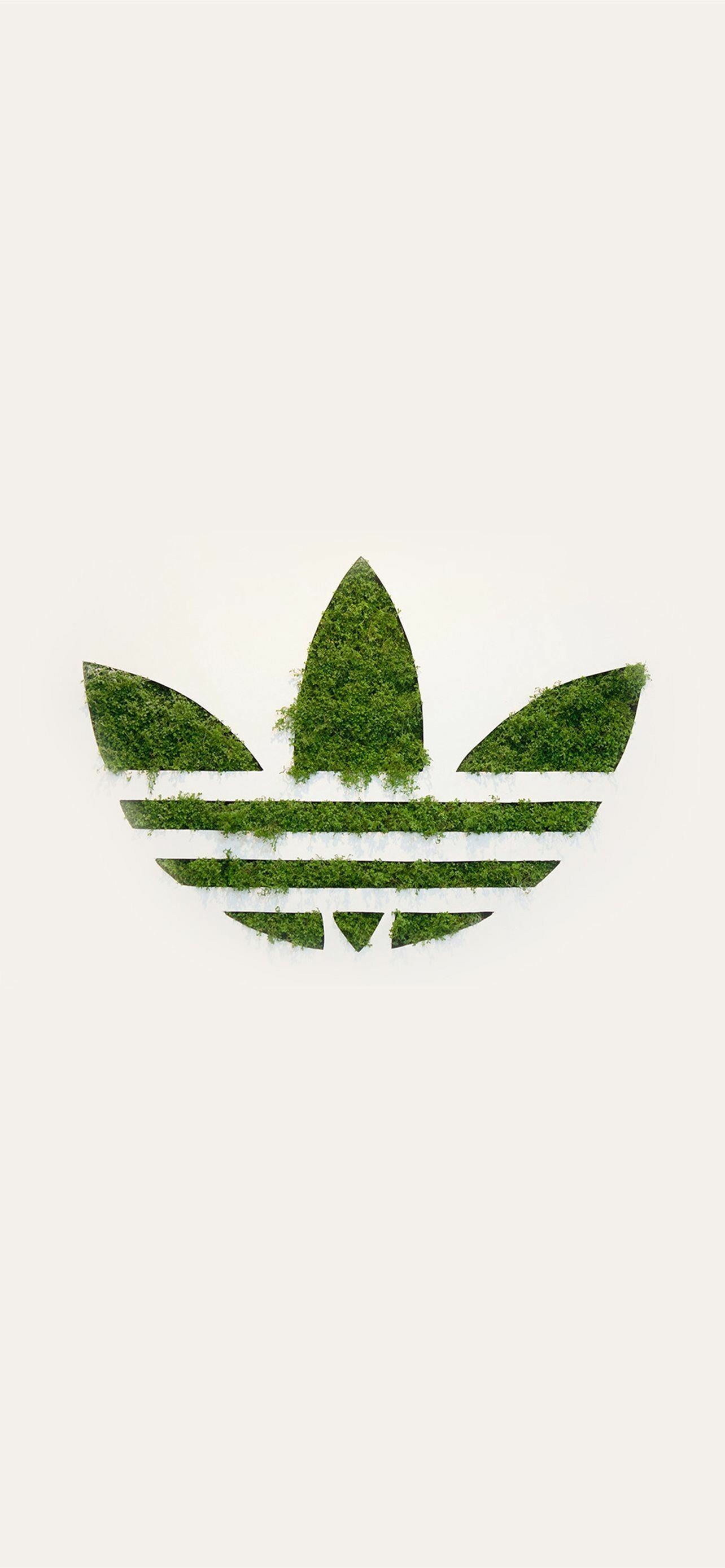 Adidas Wallpapers 40 images WallpaperCat