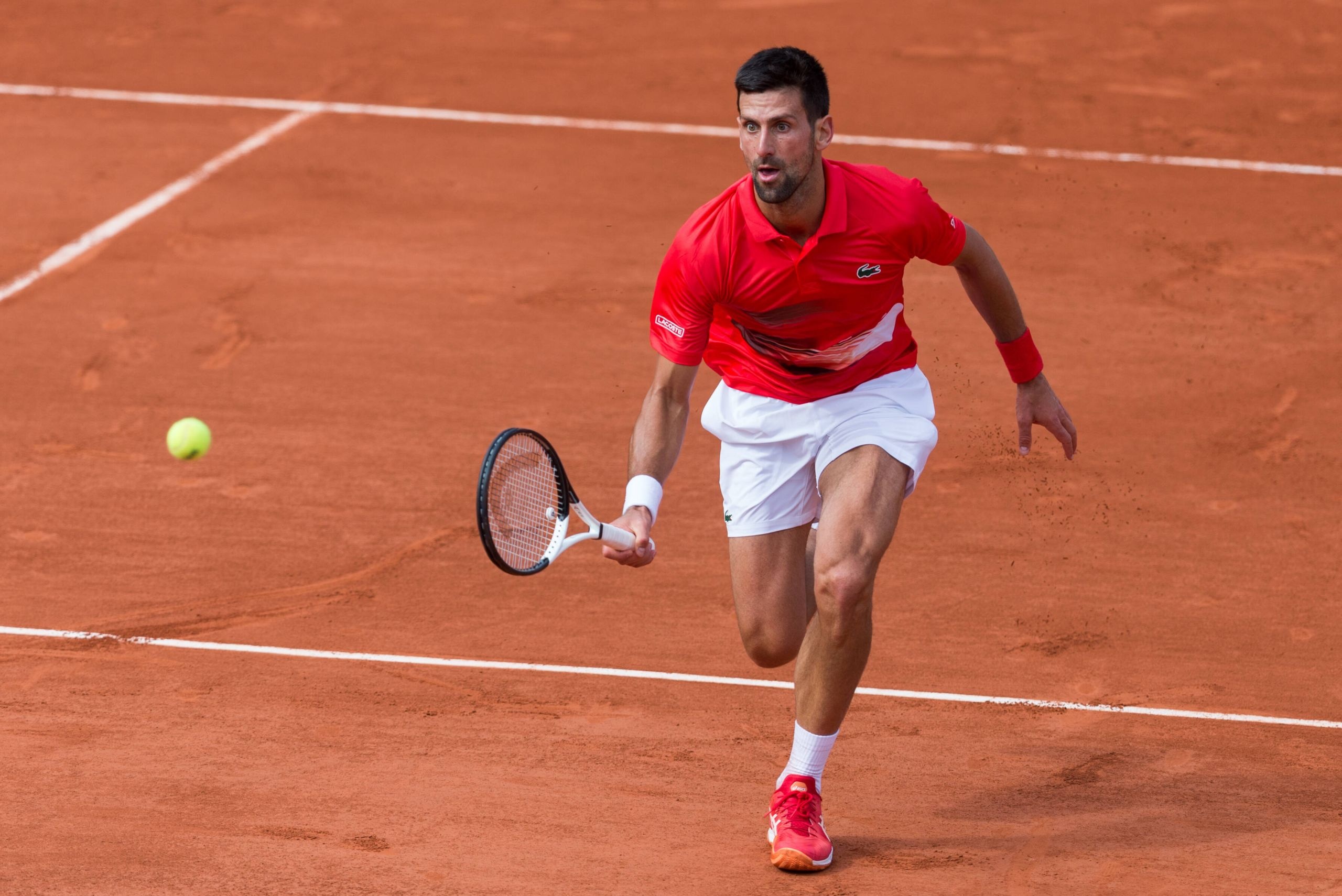 French Open, Roland-Garros, Novak Djokovic, Paris, 2560x1710 HD Desktop