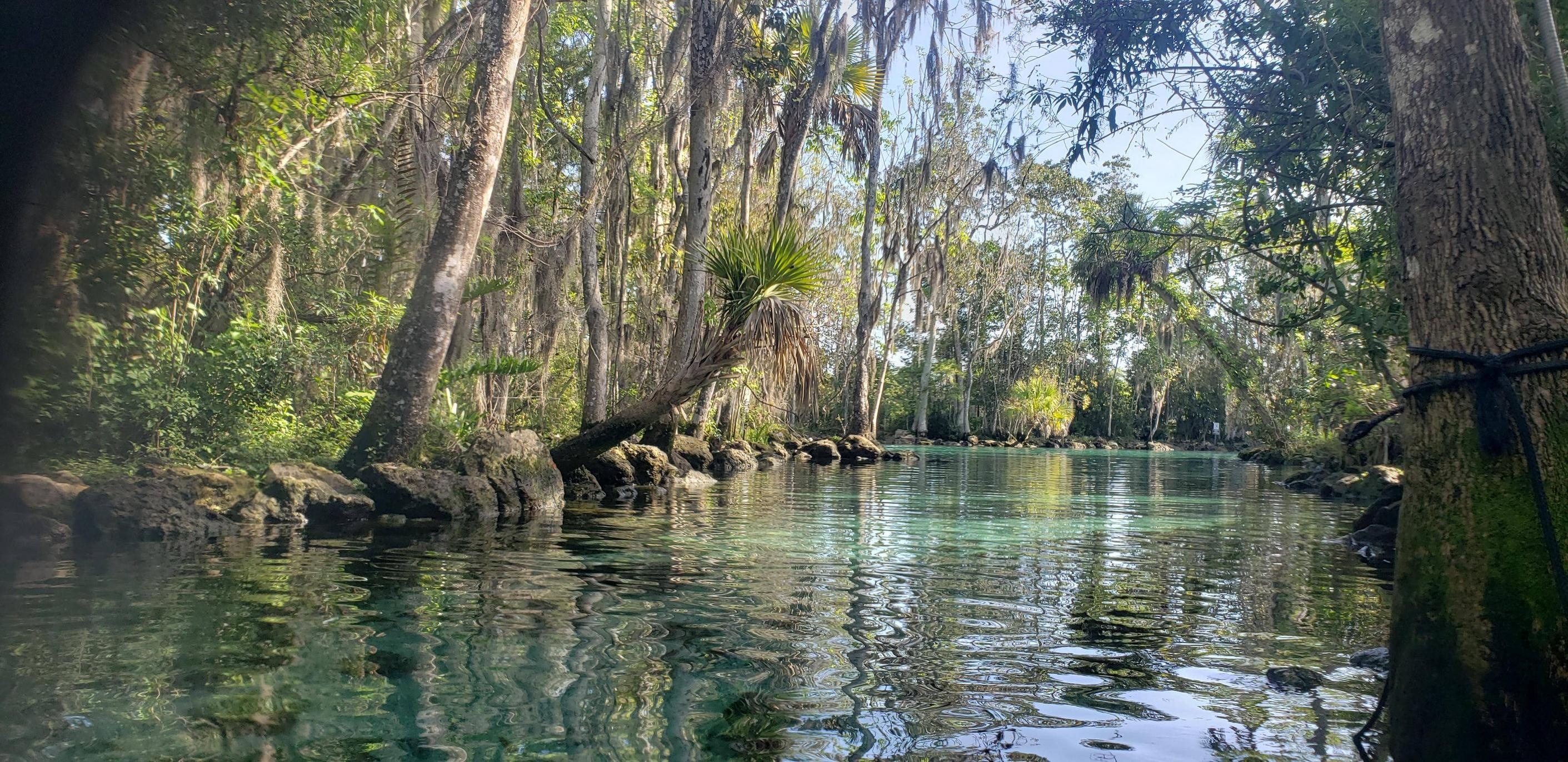 Florida nature, Stunning wallpapers, Breathtaking visuals, Natural beauty, 2830x1380 Dual Screen Desktop
