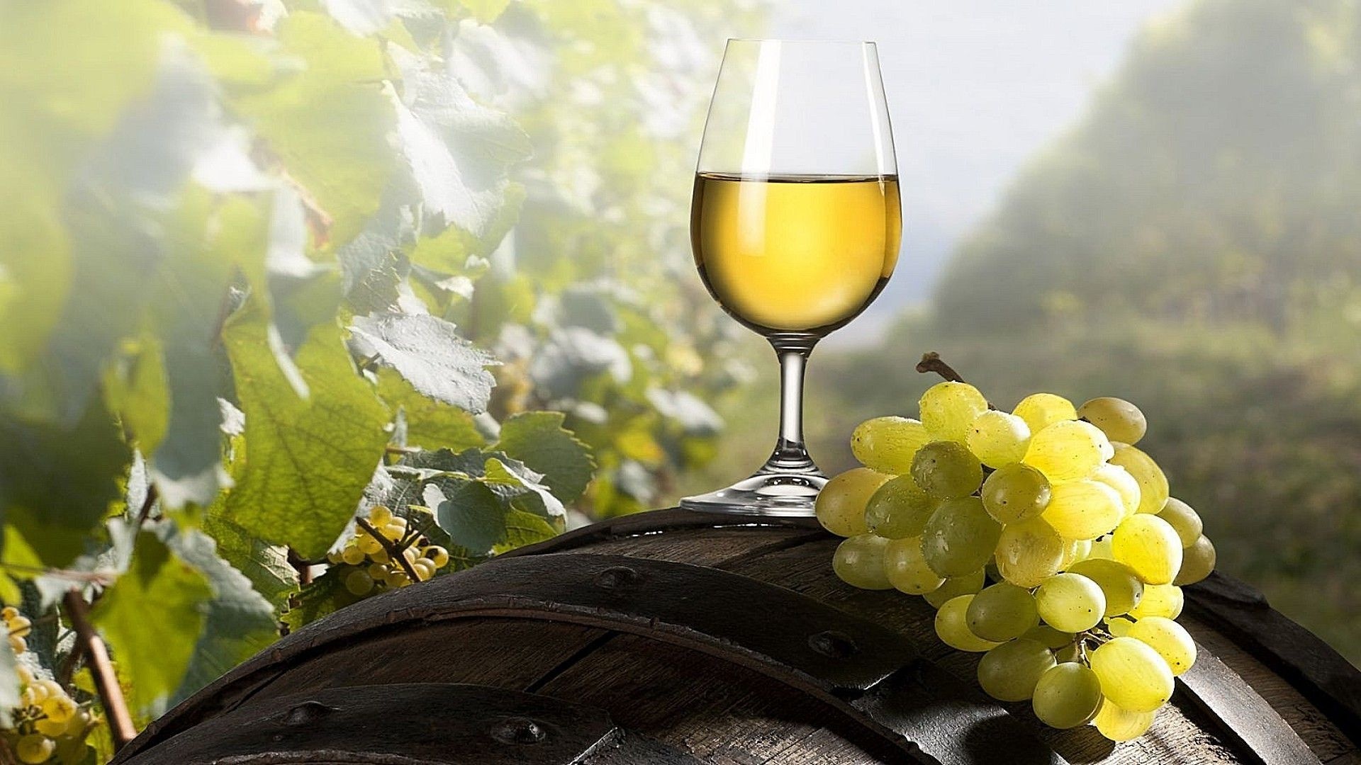 White wine, Top free backgrounds, Wineglass wallpapers, 1920x1080 Full HD Desktop