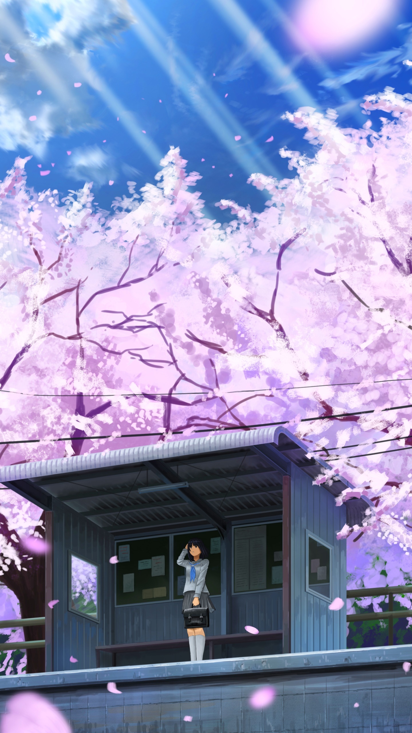 Anime schoolgirl waiting, Train station platform shelter, Blooming cherry blossom trees, HD Phone wallpaper