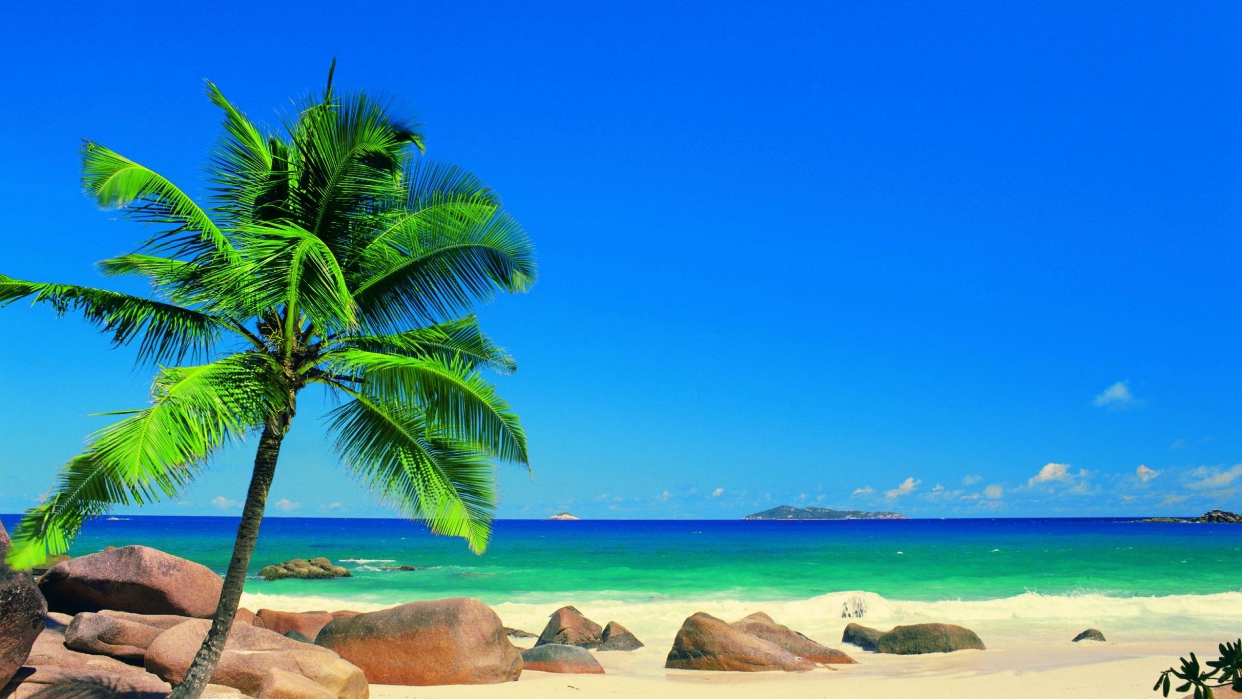Leaning coconut palm tree, Granite beach boulders, Turquoise tropical ocean, HD Desktop wallpaper