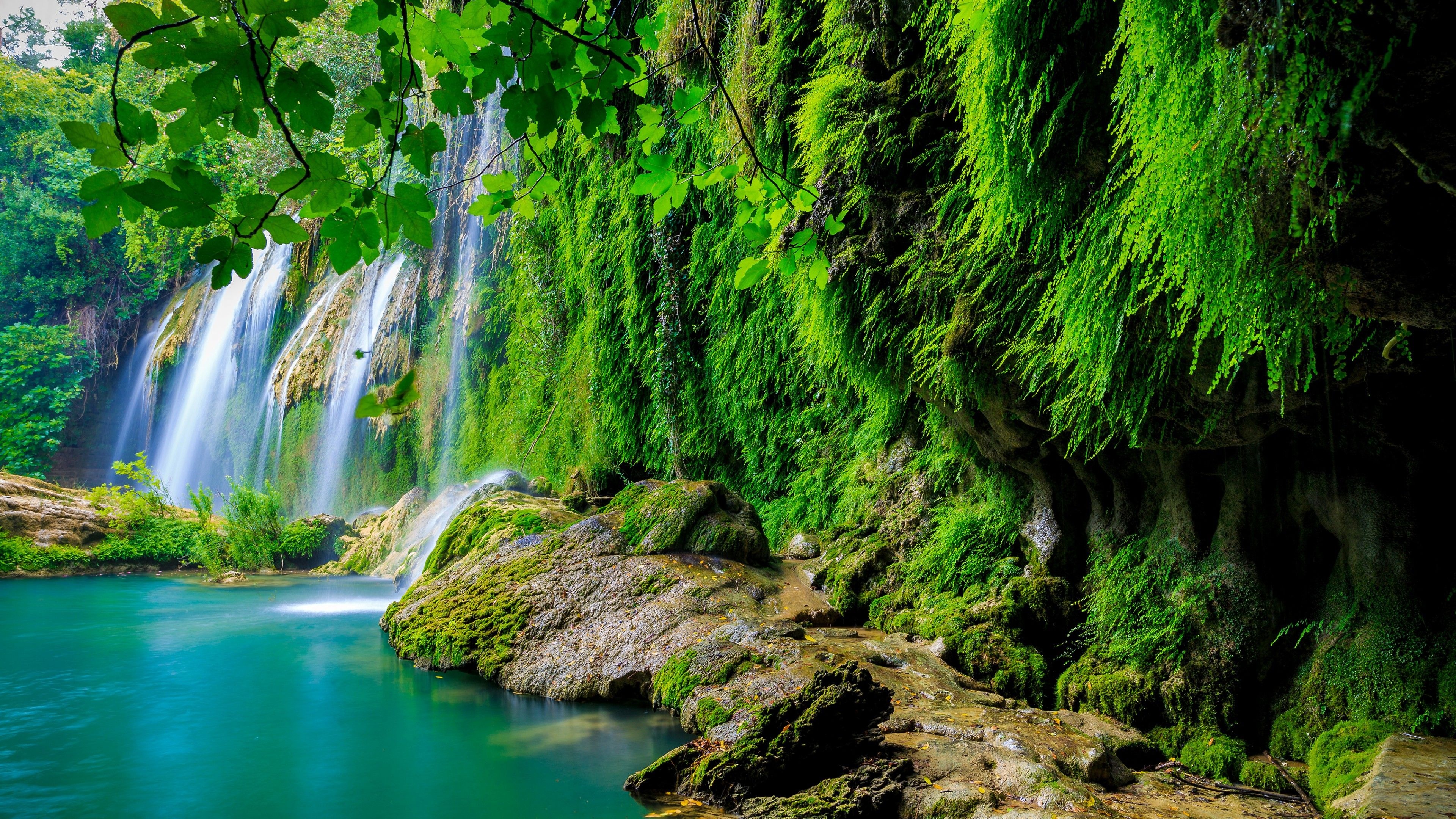 Dense foliage, Untouched wilderness, Ecological treasure, Wildlife sanctuary, 3840x2160 4K Desktop