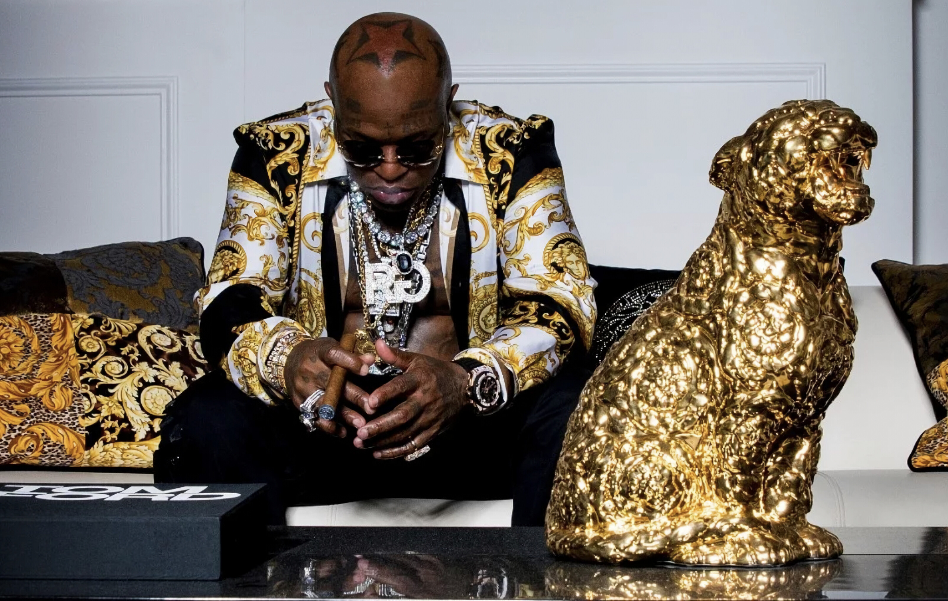 Catchy beats, Memorable bars, Birdman's style, Hip-hop legend, 3210x2040 HD Desktop