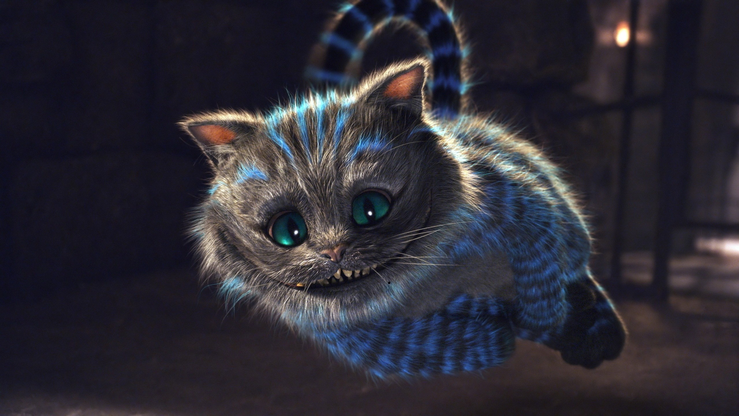 Cheshire Cat HD, Abstract 4K wallpapers, Vibrant colors, Surreal artwork, 2560x1440 HD Desktop