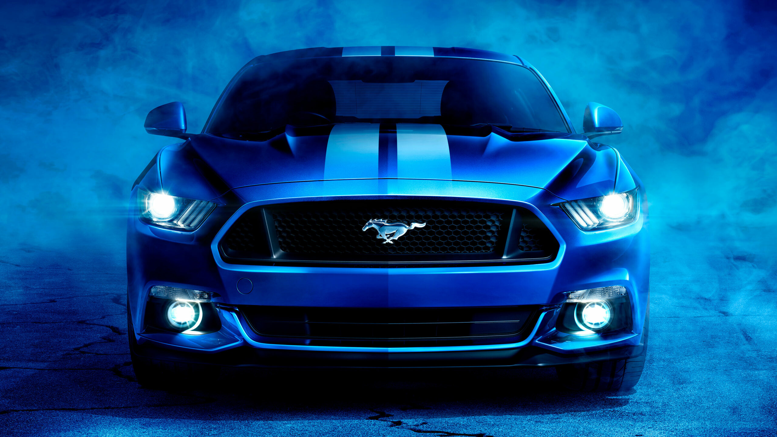 Mustang Shelby, Ford Wallpaper, 2560x1440 HD Desktop