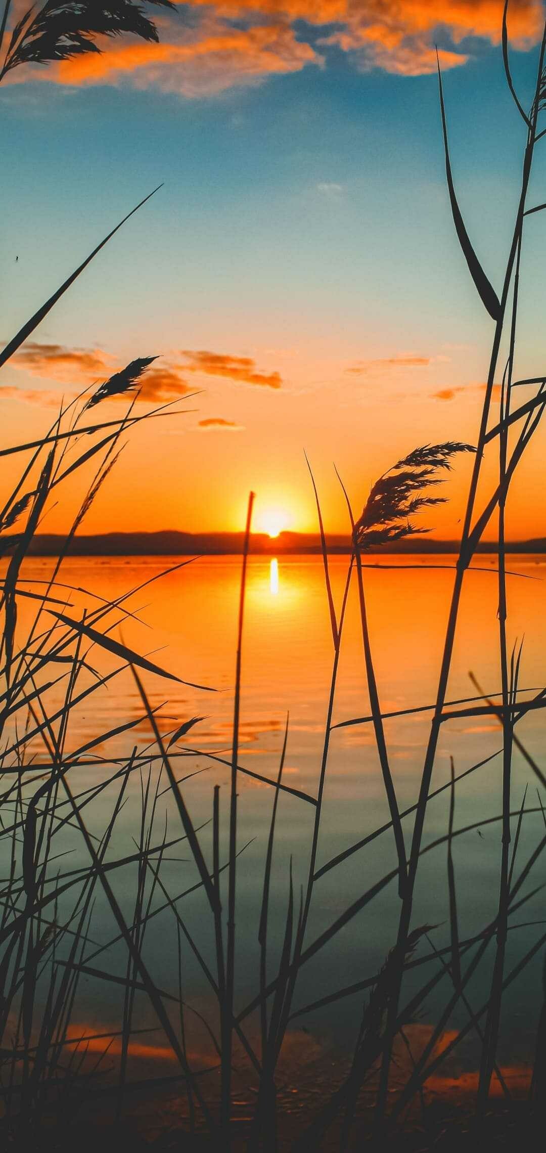 Sunset glow, Vibrant colors, Serene atmosphere, Breath-taking scenery, 1080x2280 HD Phone