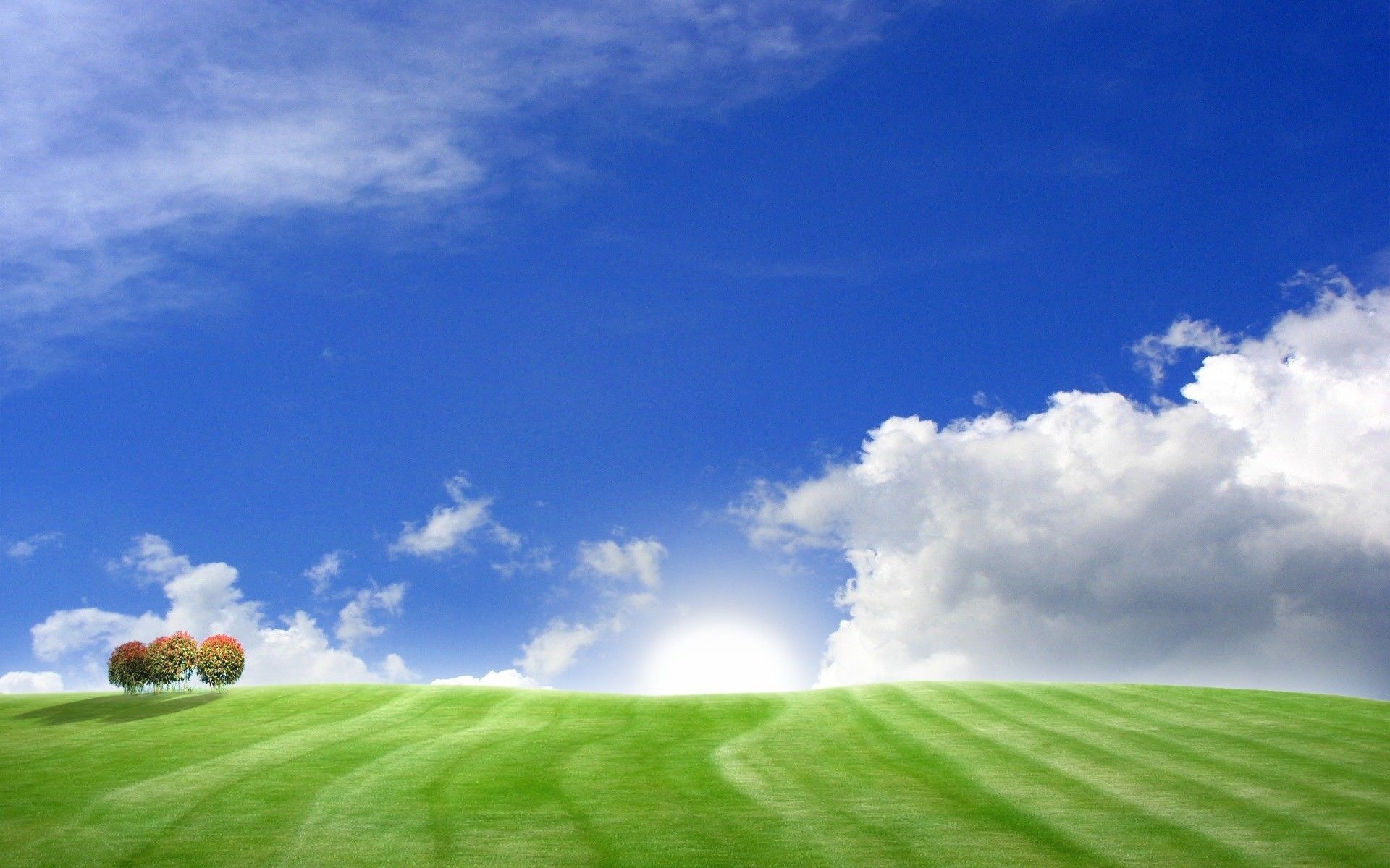 Field sky grass wallpapers, Natural landscapes, Wide open spaces, Breath-taking views, 1920x1200 HD Desktop