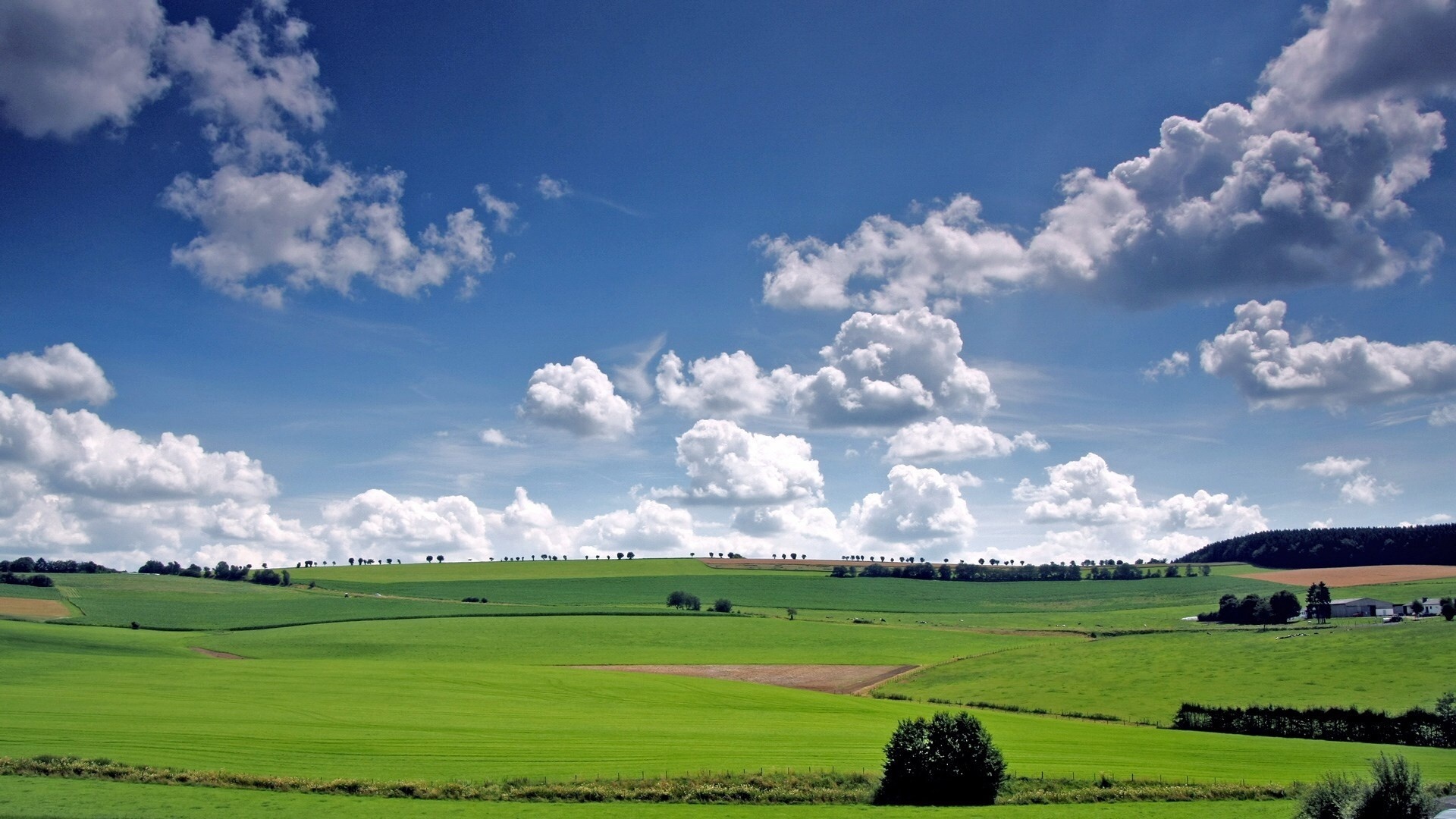 rolling green farmland, scattered white cumulus clouds, bright blue summer sky, Full HD Desktop wallpaper