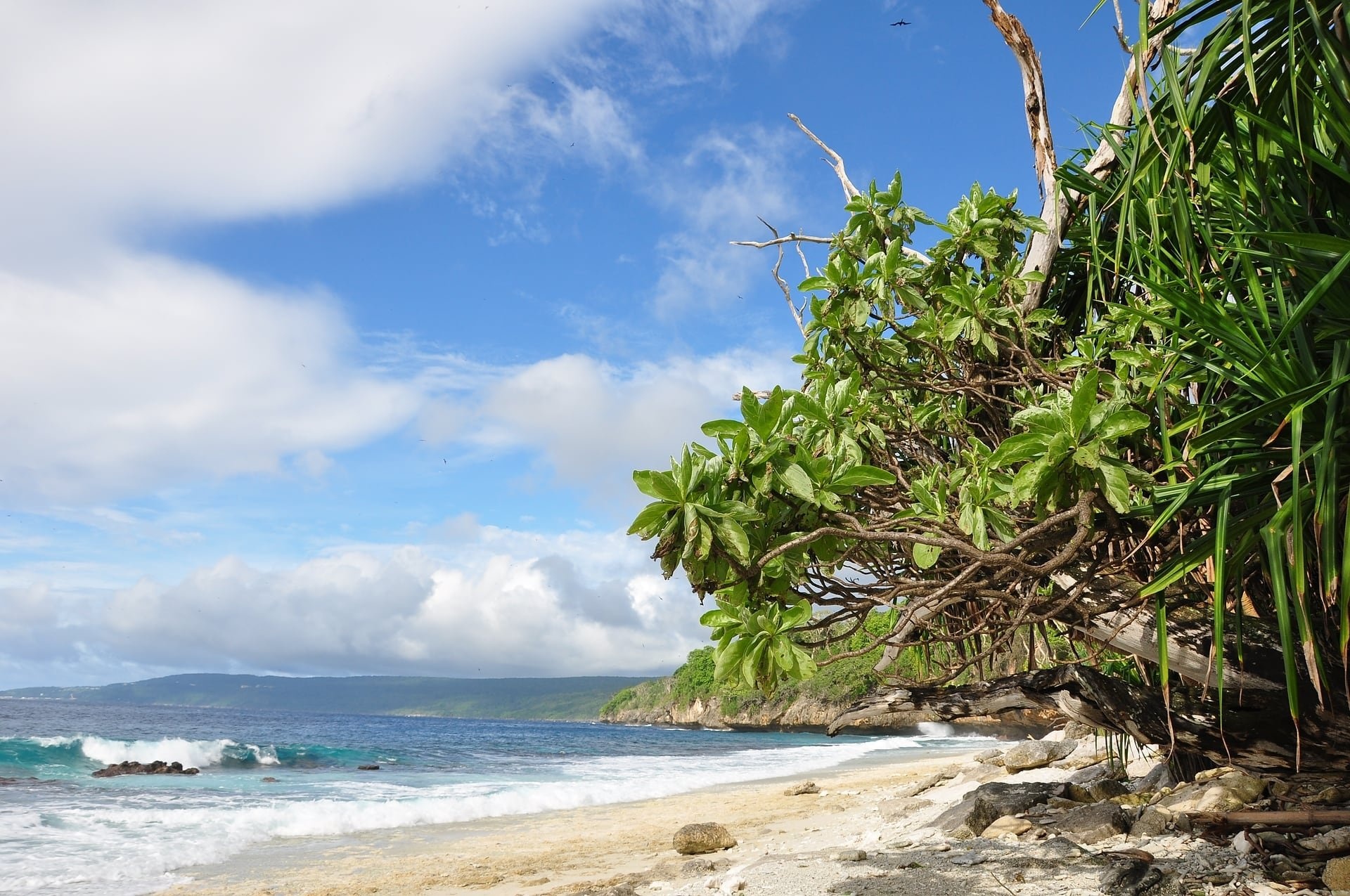 Best time to visit, Weather seasons, Climate trek zone, Christmas Island, 1920x1280 HD Desktop