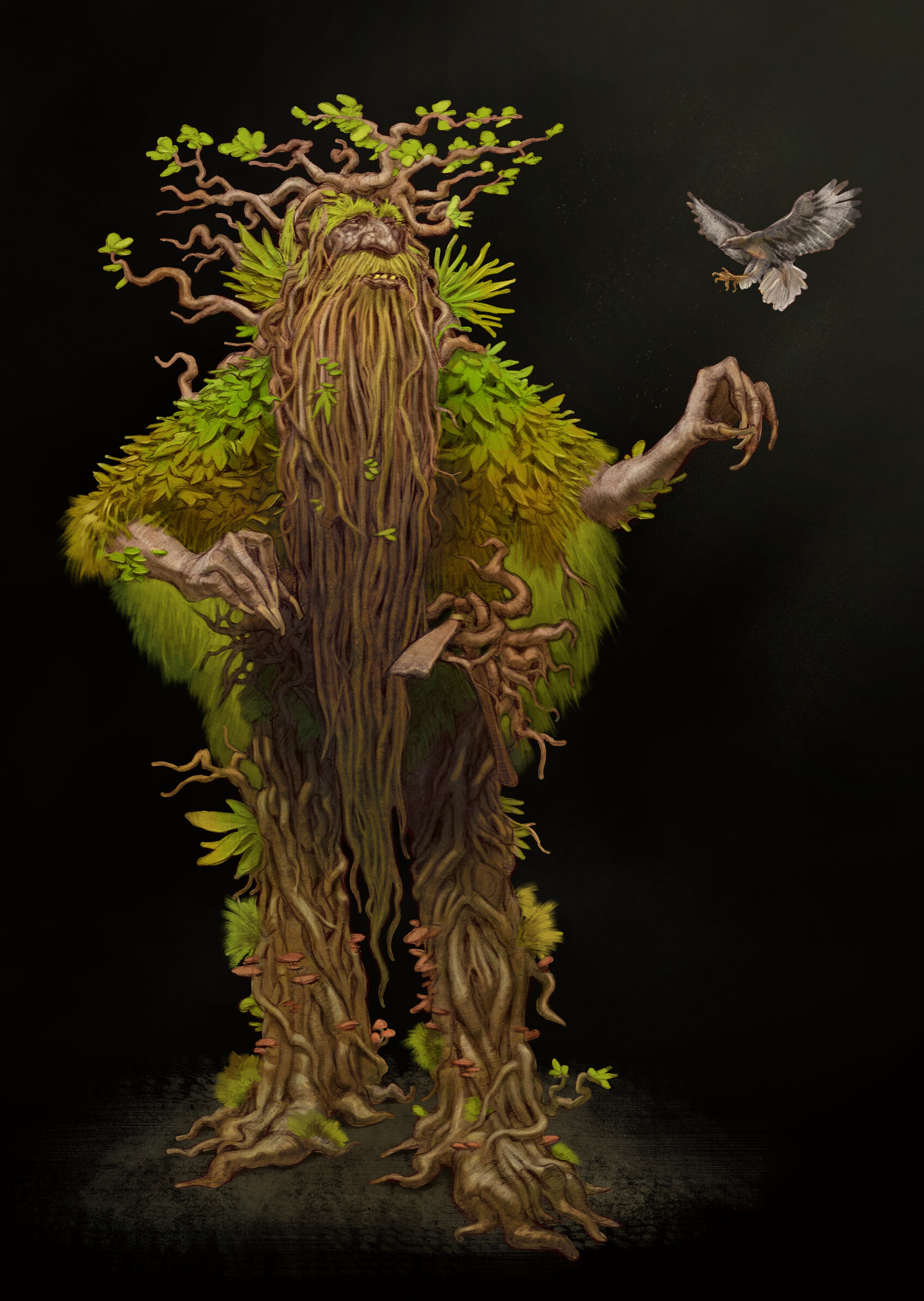 Treebeard character, Lord of the Rings series, Artistic representation, Fangorn forest, 1700x2390 HD Phone