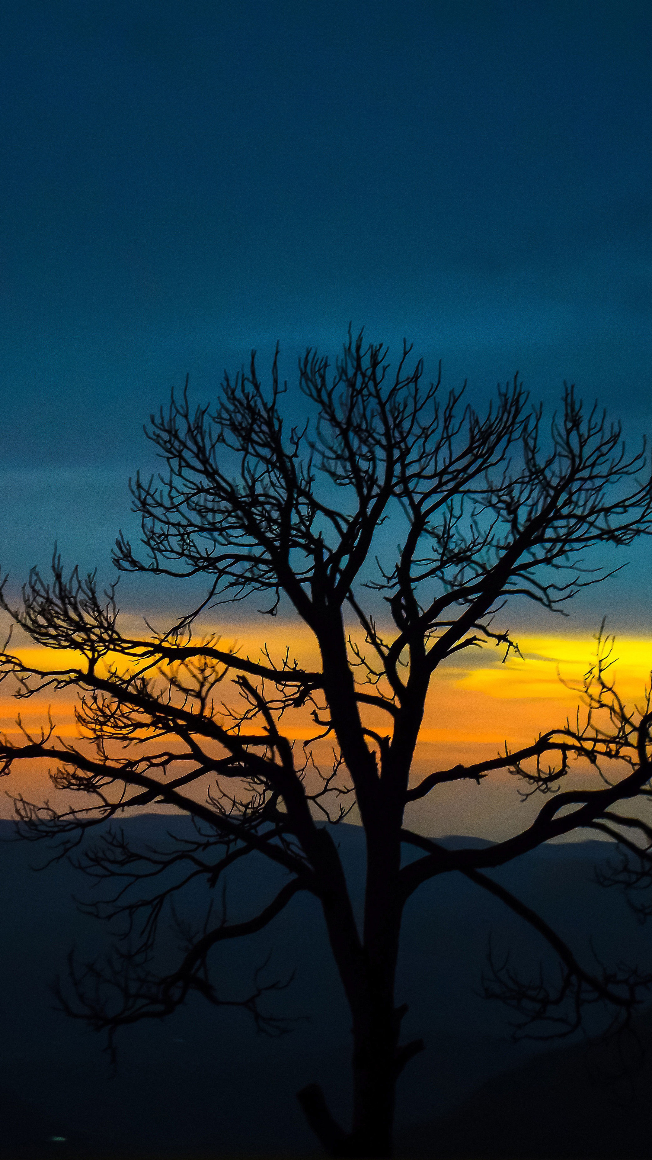 silhouetted bare tree, orange twilight sky, dark mountain ridge, 4K Phone wallpaper