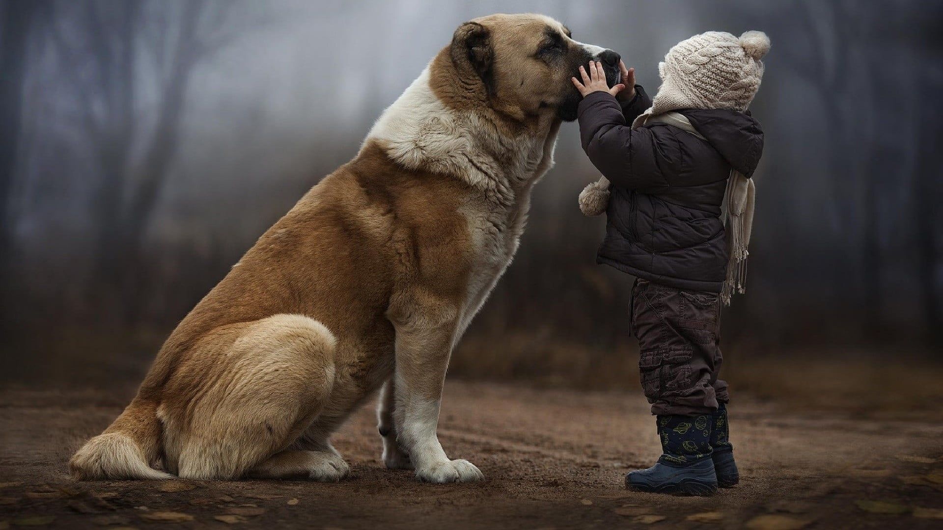 Short coated dog, Dog friends, Wallpaper hdwallpaper desktop, Dogs and kids, 1920x1080 Full HD Desktop