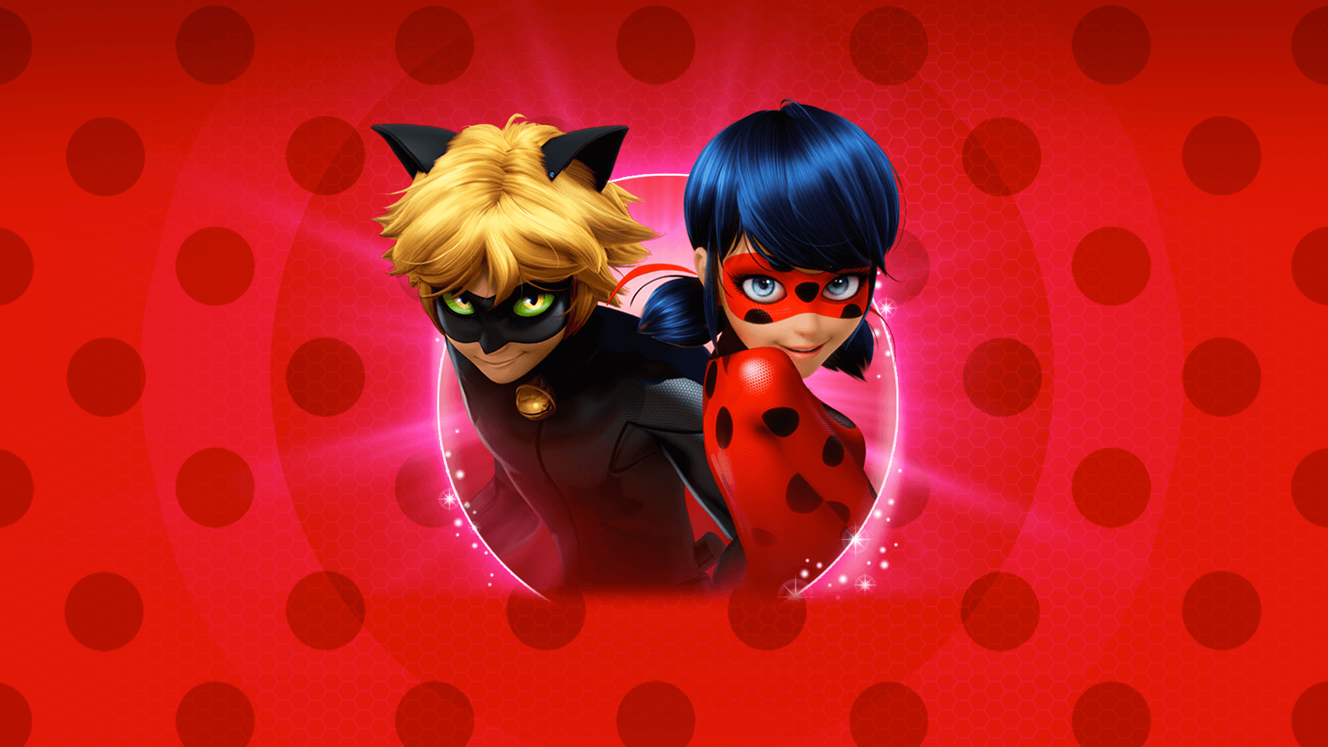 Ladybug, Wallpapers, 1920x1080 Full HD Desktop