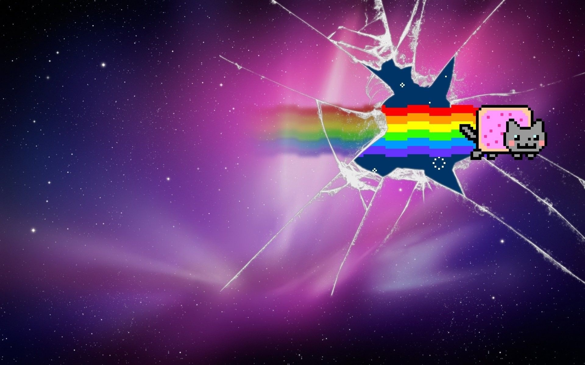 Galaxy Cat, Playful feline, Cosmic background, Astronomical wonder, 1920x1200 HD Desktop