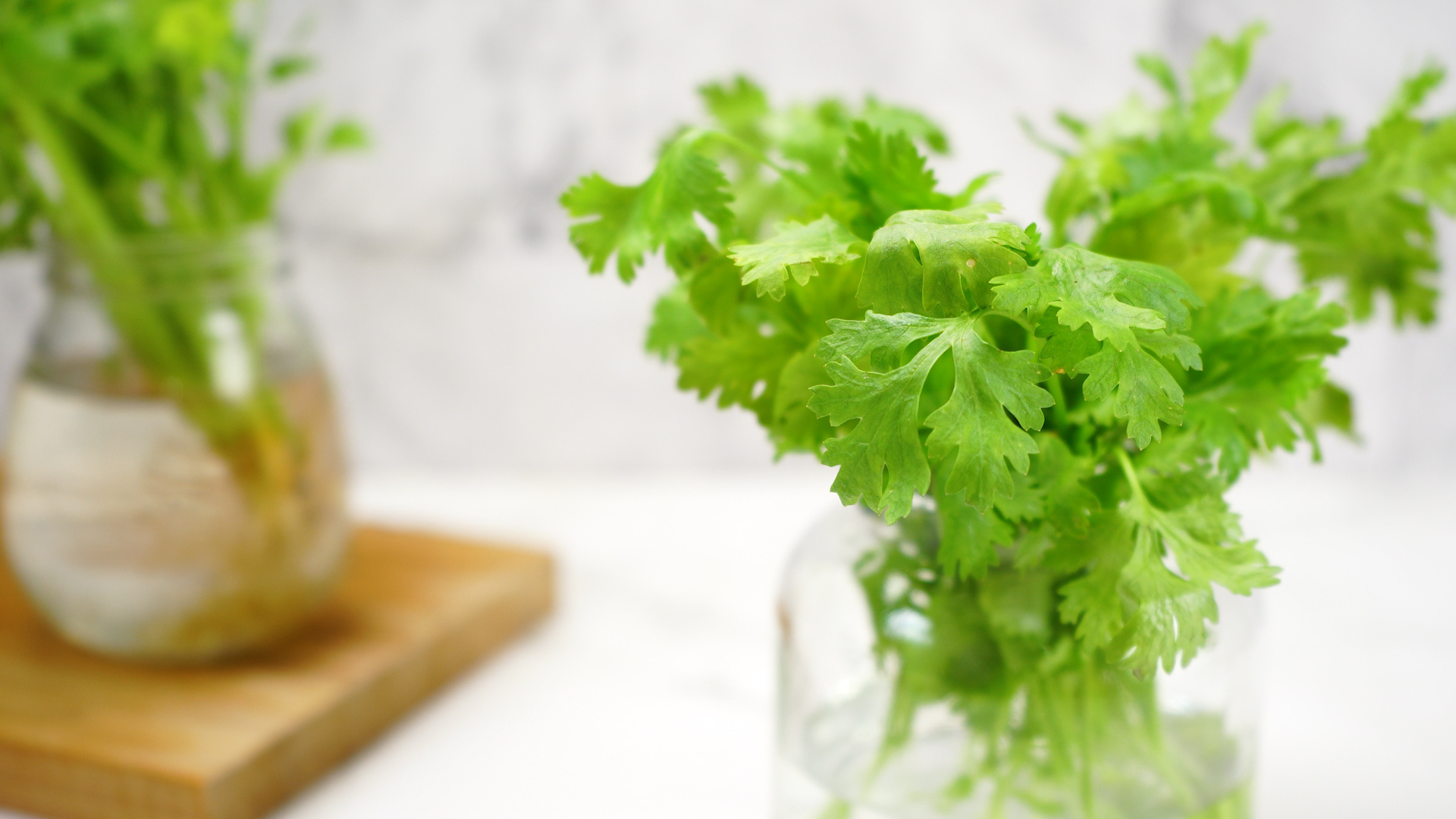 Keep cilantro fresh, Storage tips, Herb preservation, Extended shelf life, 1920x1080 Full HD Desktop