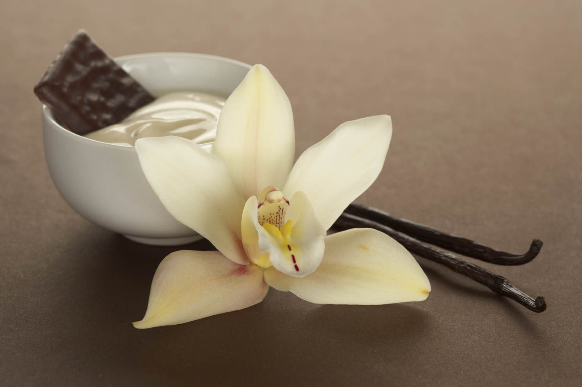 Pure vanilla beans, Beans, Pure, Vanilla, 1920x1280 HD Desktop