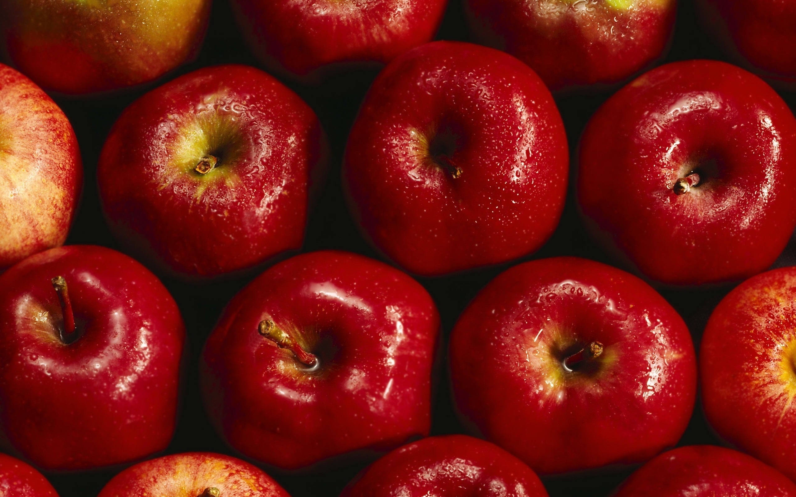 12 wonderful HD apples wallpapers, Delicious and refreshing, Nature's treat, Crave-worthy, 2560x1600 HD Desktop