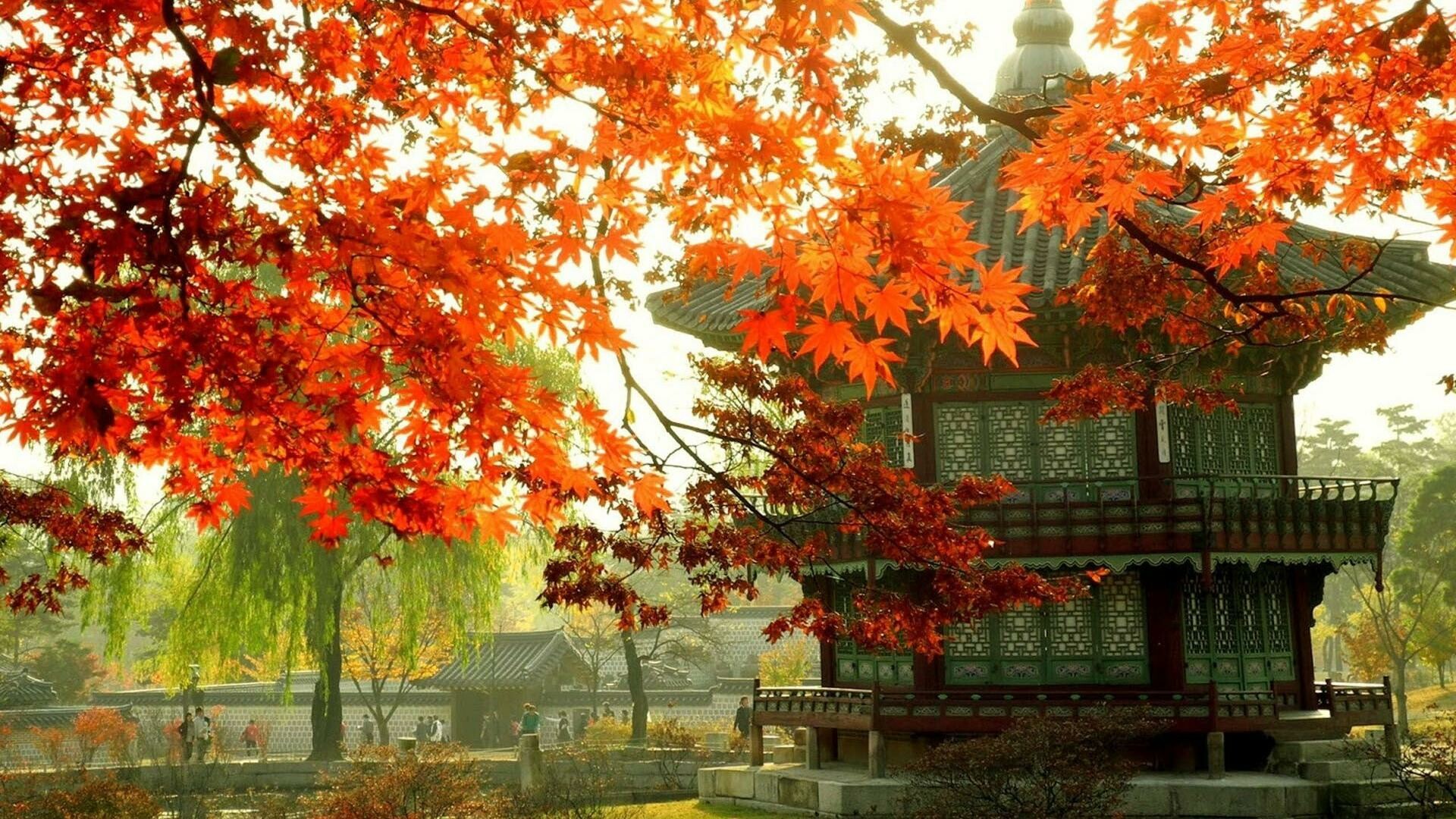 Korea, Korean autumn backgrounds, Top Free, 1920x1080 Full HD Desktop