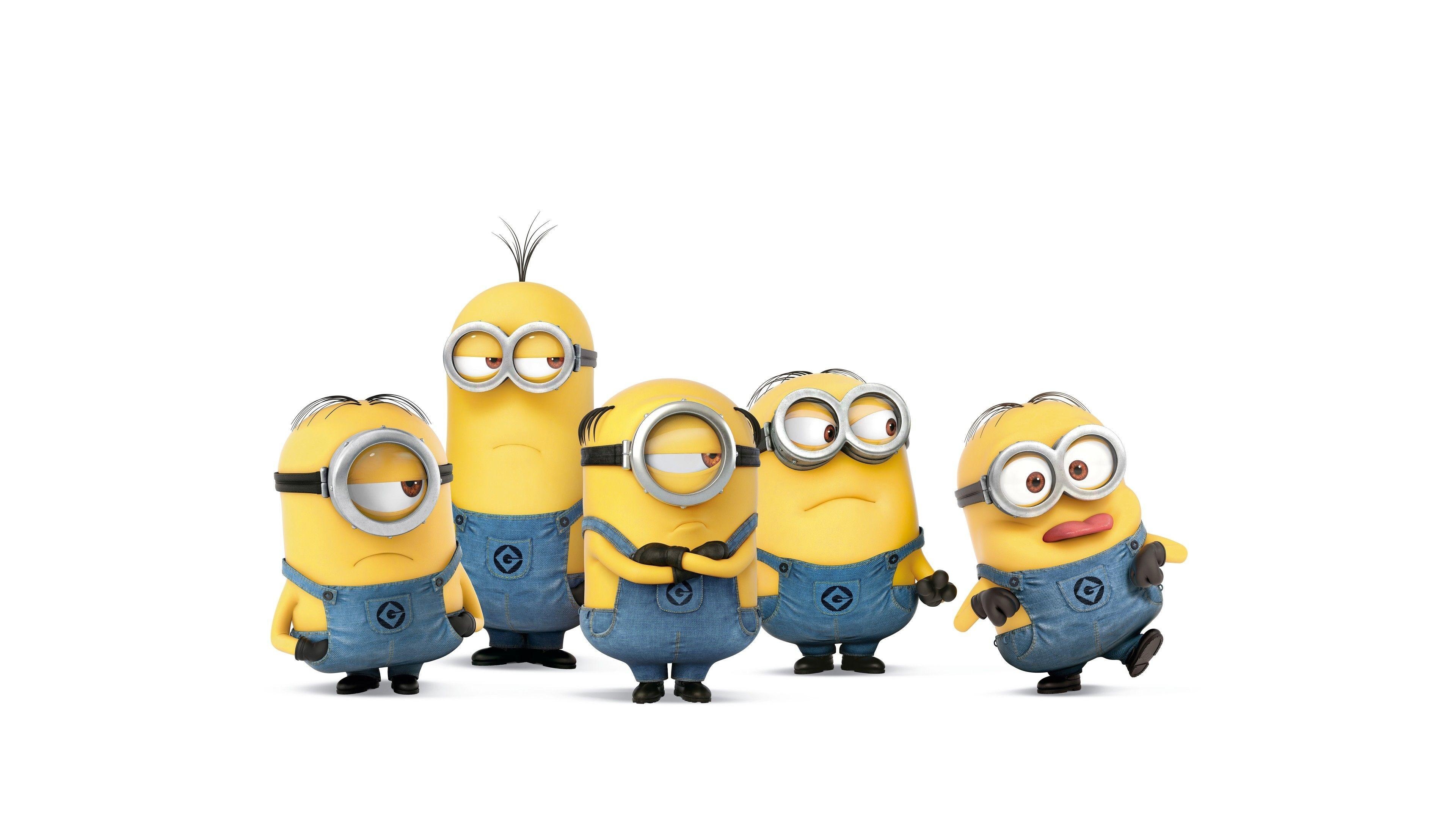 Kevin the Minion, Stuart the Minion, Despicable Me Minions, white studio background, 4K Desktop wallpaper