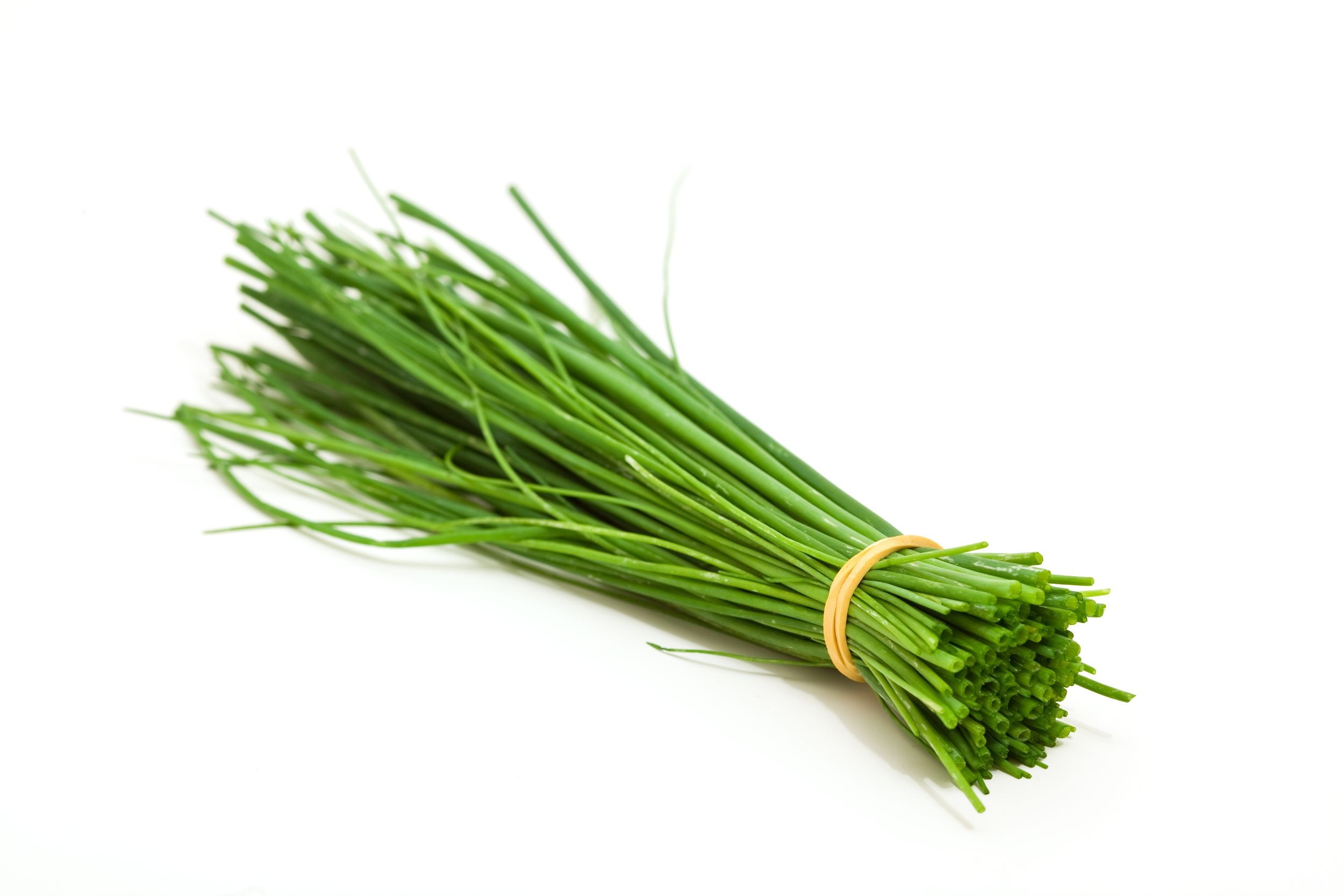 Bunch of chives, Albatross market, Fresh herbs, Food, 2500x1670 HD Desktop