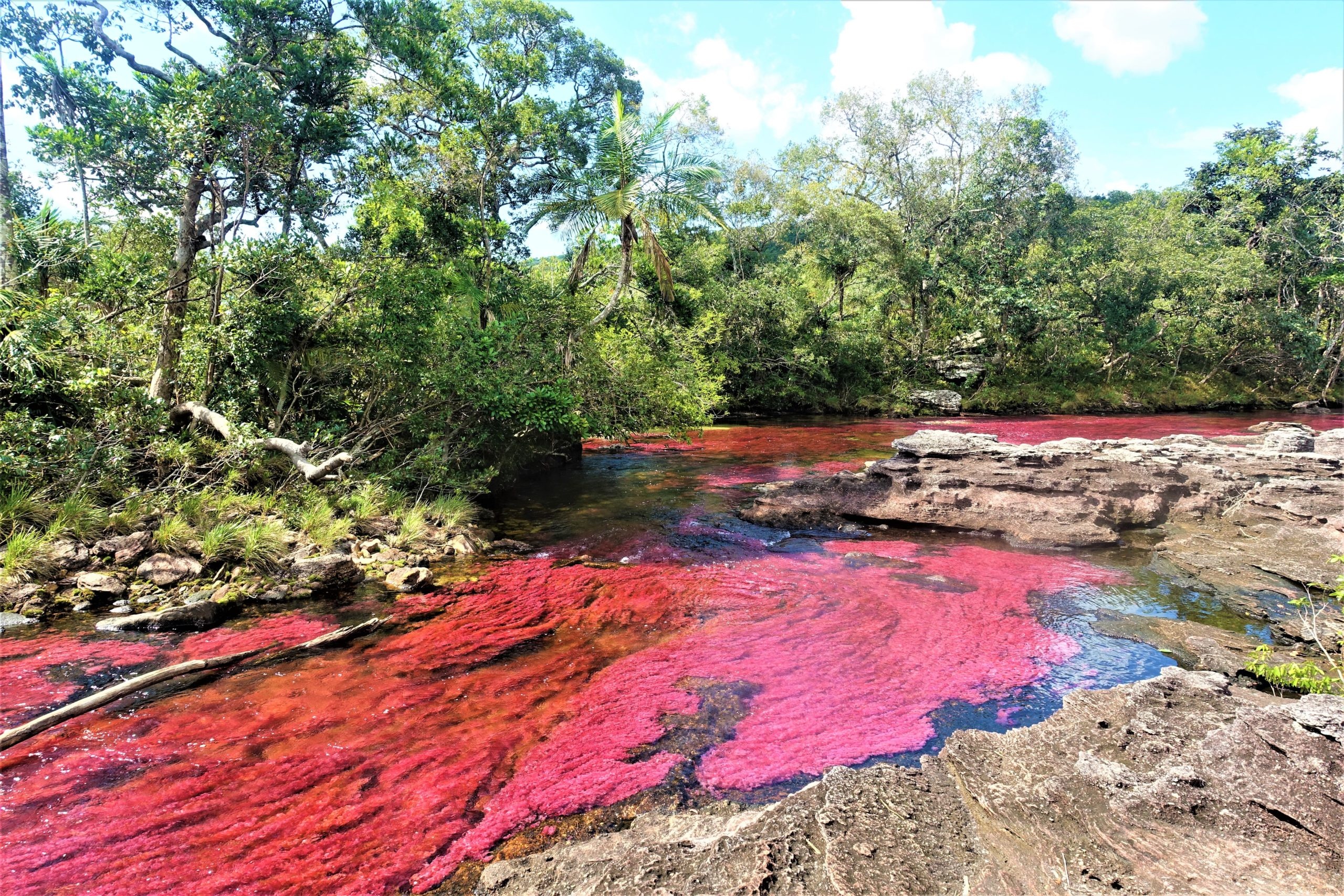 Serrania de la Macarena, Unique travel experience, Colombian charm, Natural wonders, 2560x1710 HD Desktop