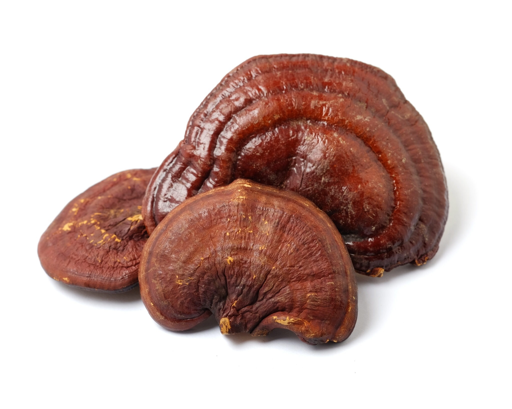 Reishi Mushroom, Health benefits, Side effects, 2050x1640 HD Desktop