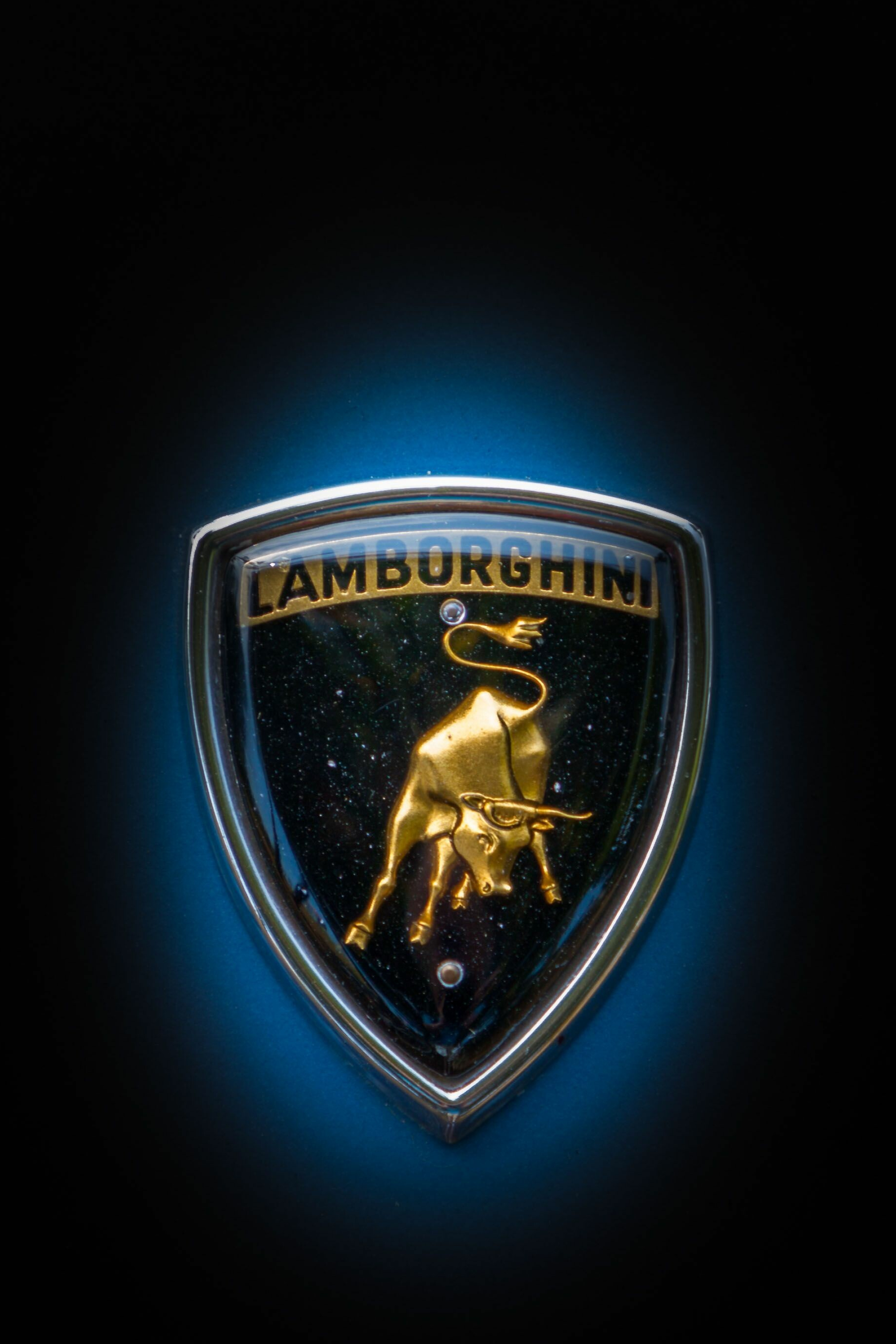 Logo, Lamborghini Wallpaper, 2030x3040 HD Phone