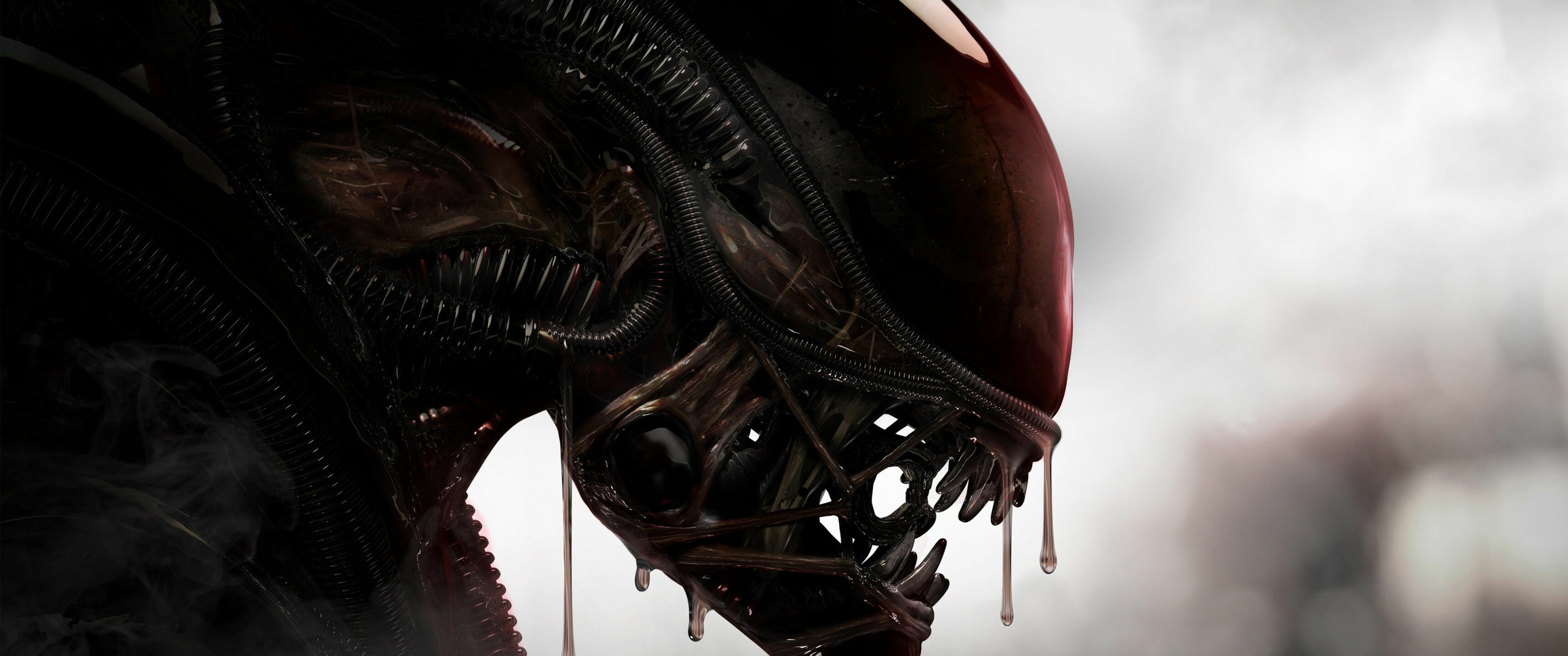 Xenomorph, Alien (Movie) Wallpaper, 3440x1440 Dual Screen Desktop