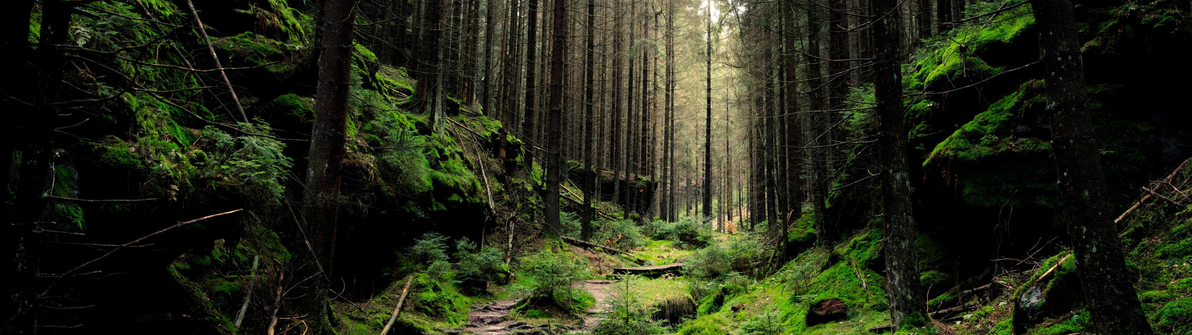 Saxon Switzerland National Park, Nature's wonderland, Pristine forest, Naturescape, 3840x1080 Dual Screen Desktop