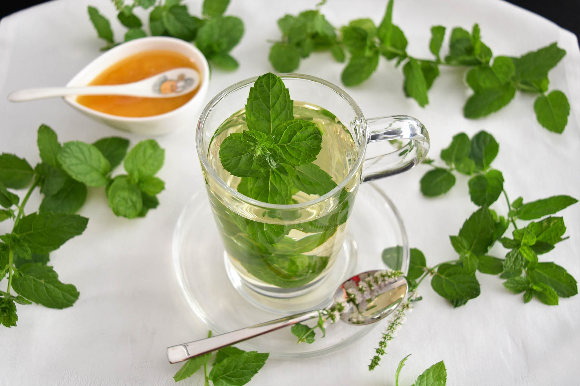 Pfefferminztee, Spearmint tea, Refreshing drink, Herbal infusion, 2000x1340 HD Desktop