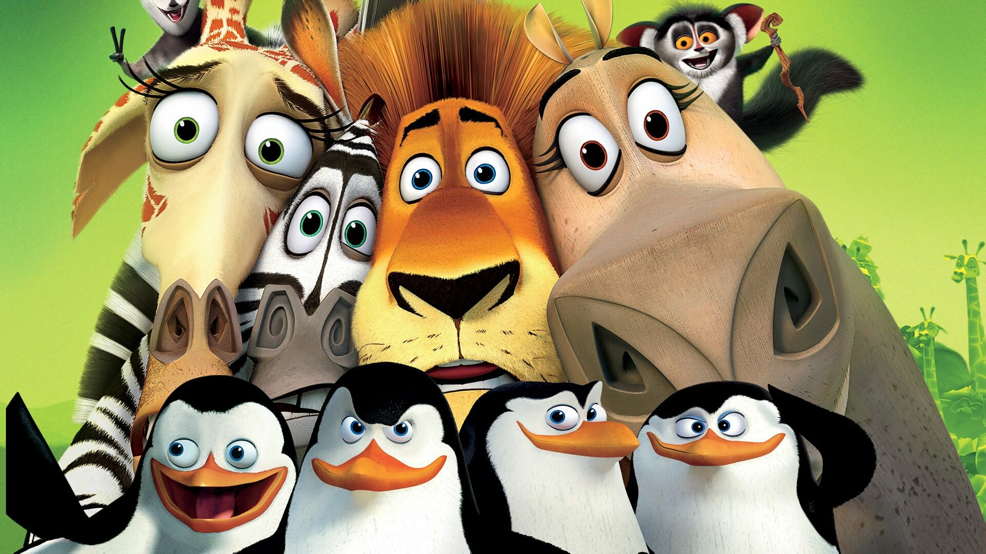 Madagascar movie, Animation comedy adventure, Penguin cartoon, 1920x1080 Full HD Desktop