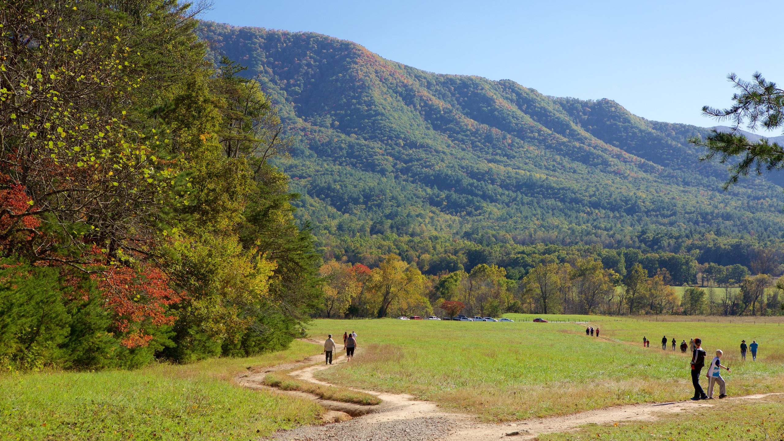 Great Smoky Mountains, National Park, Vacation rentals, Cabin rentals, 2560x1440 HD Desktop